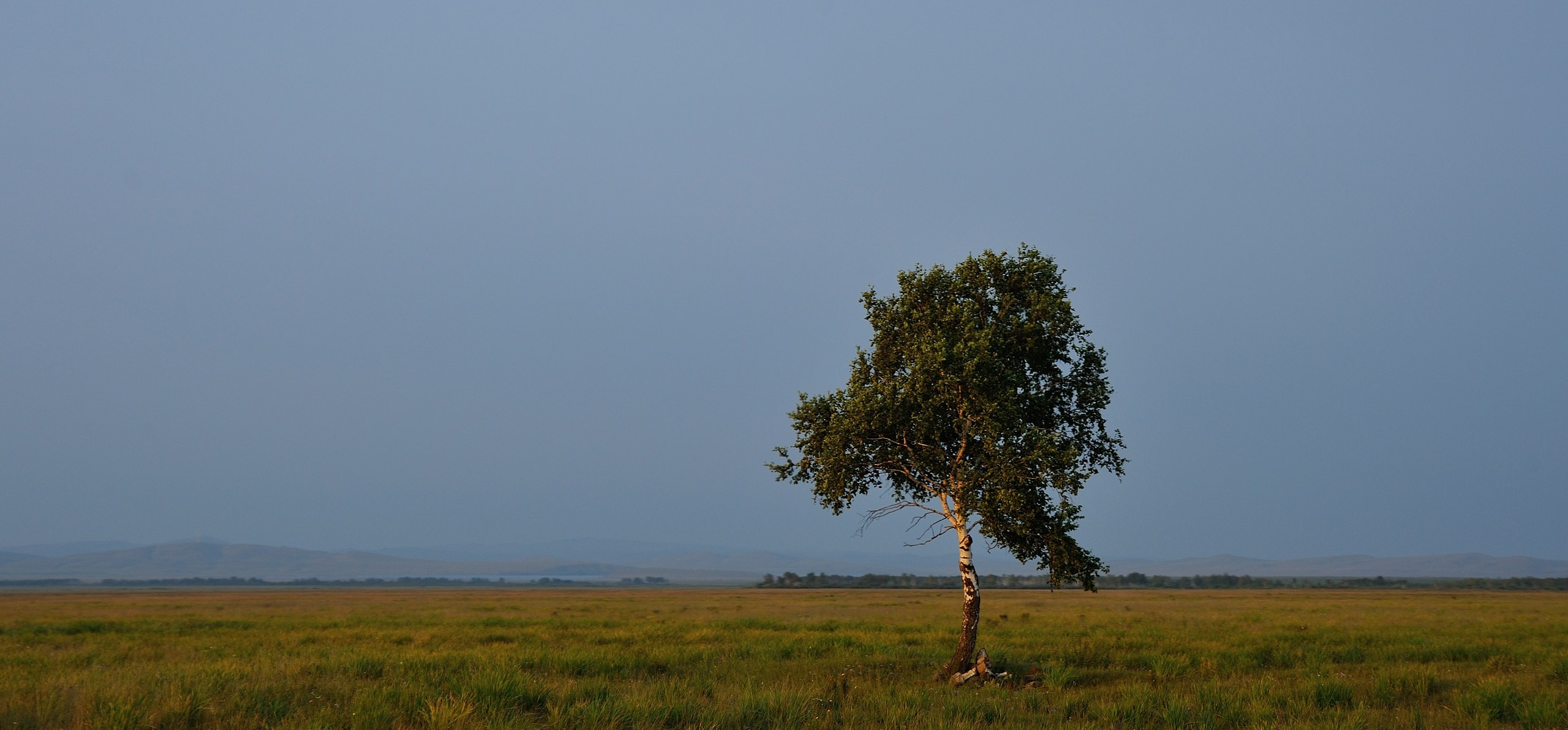 Хакасия цвет. Катерина Михеева