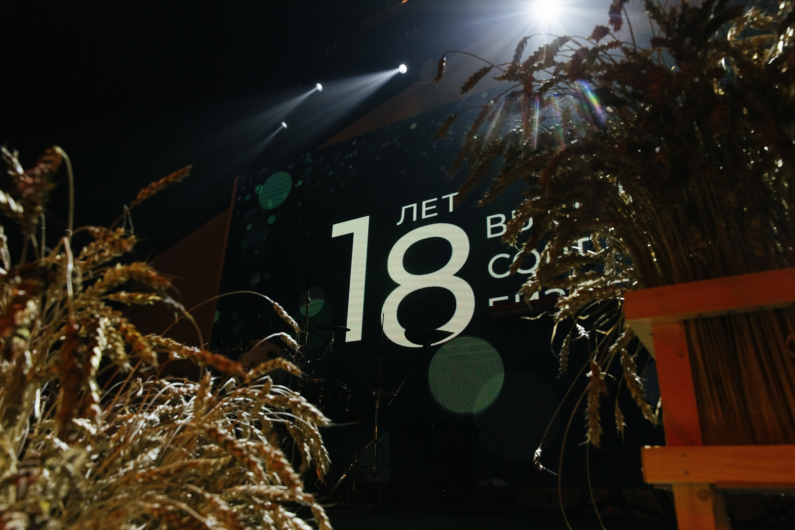 Сосны. Фотограф в Красноярске Любовь Малеева