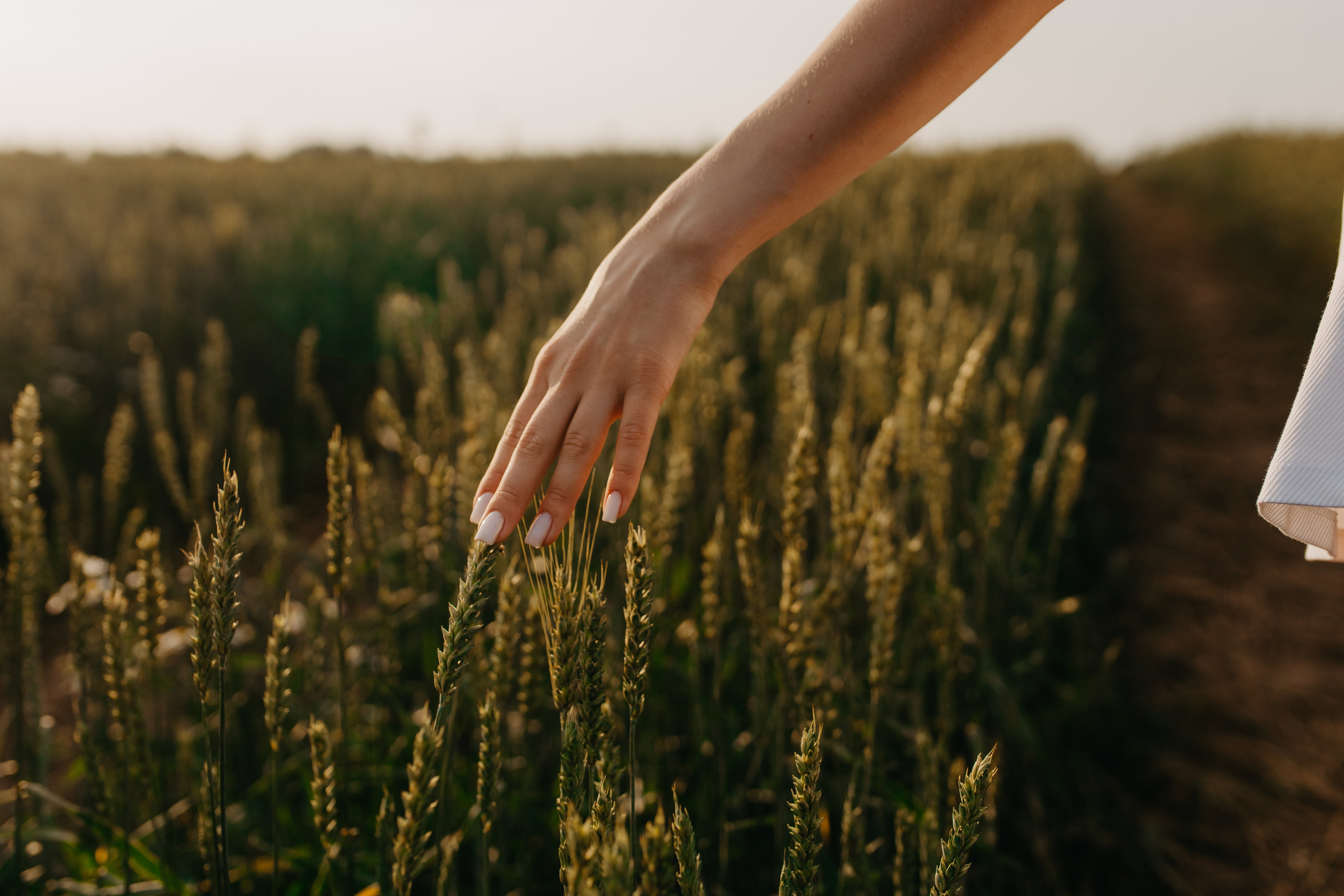 На закате. Фотограф Амалия Ахмедова, Калининград