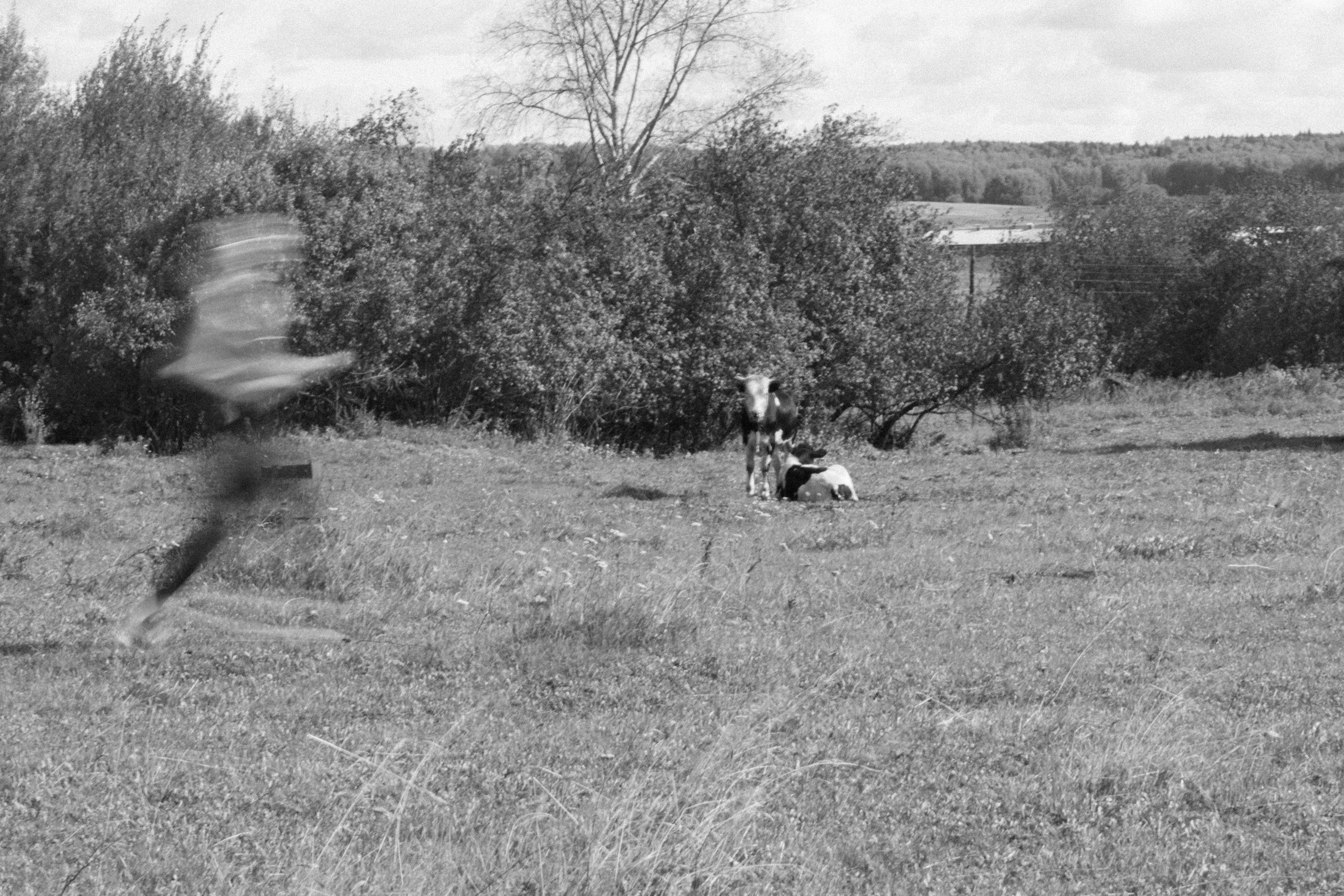 Looong Run. Павел Маннапов, фотограф и видеограф в Екатеринбурге