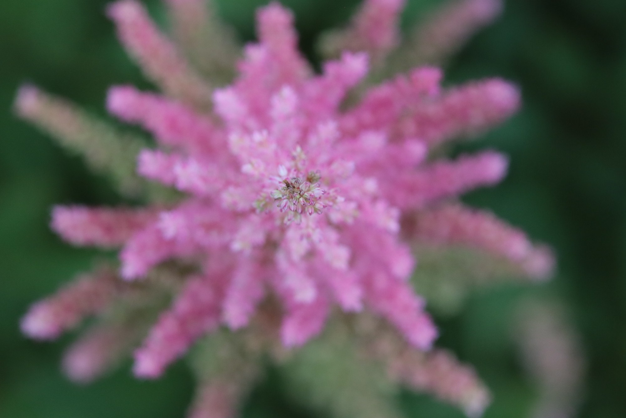 Фото Москвы. Студия Максима Белослюдцева