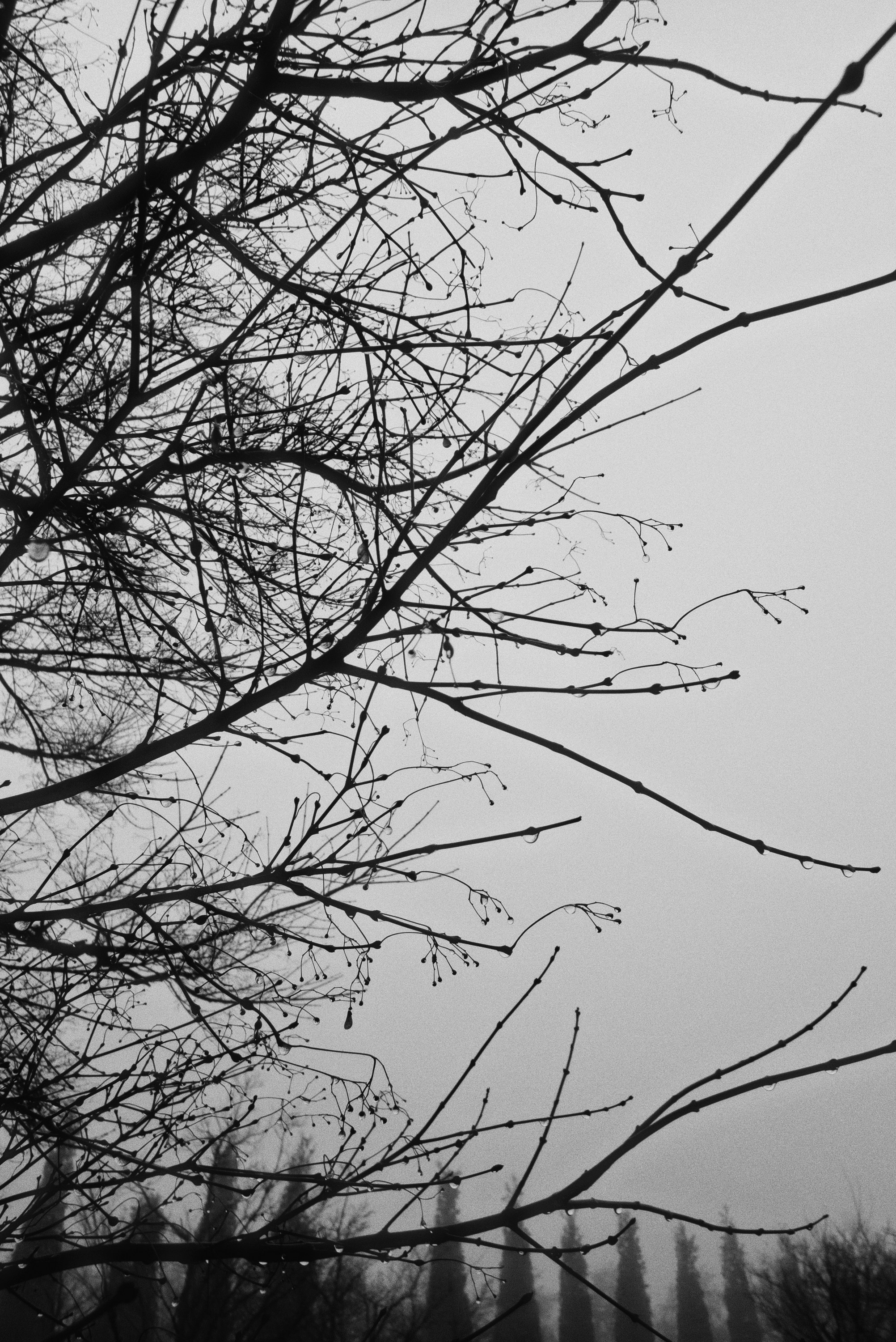 OM-System Tough-7 / Park Krasnodar (darkness). Фотограф Юрин Евгений