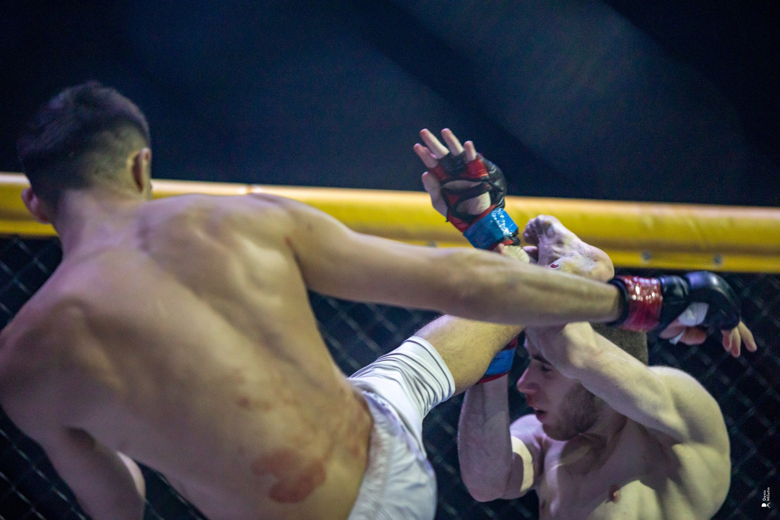 Бои в клетке «Северный Воин». Портретный фотограф Денис Милютин