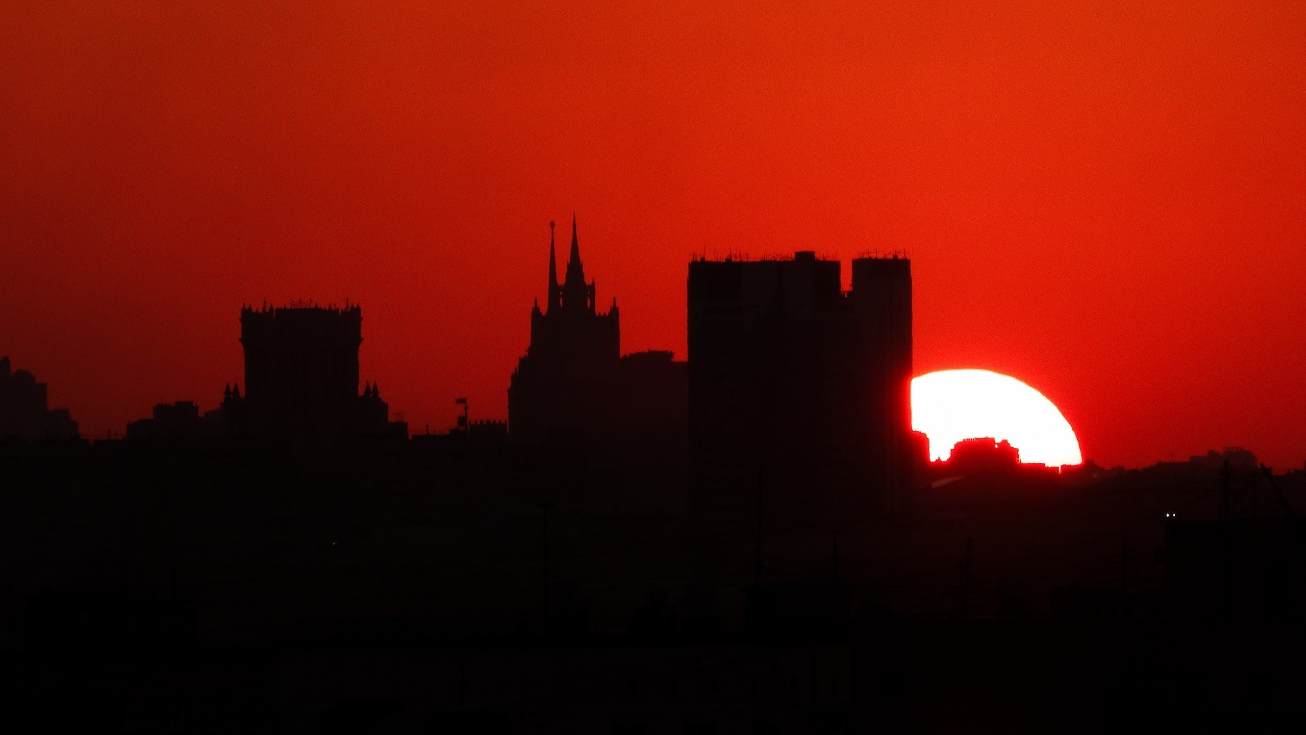 Begomvprofcom.wfolio.pro