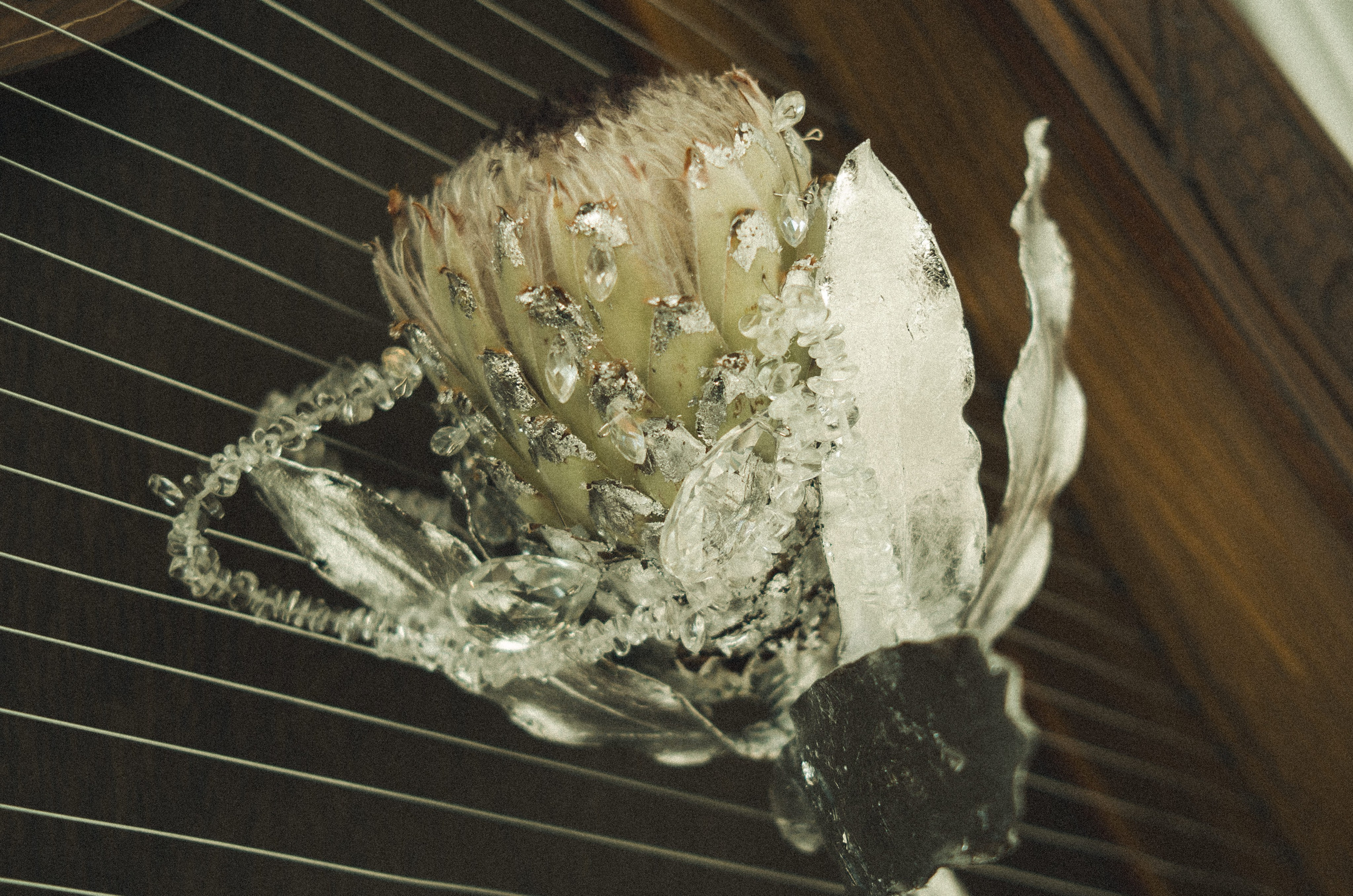 Анастасия & Анатолий. Yura Rush Свадебный фотограф Тюмень