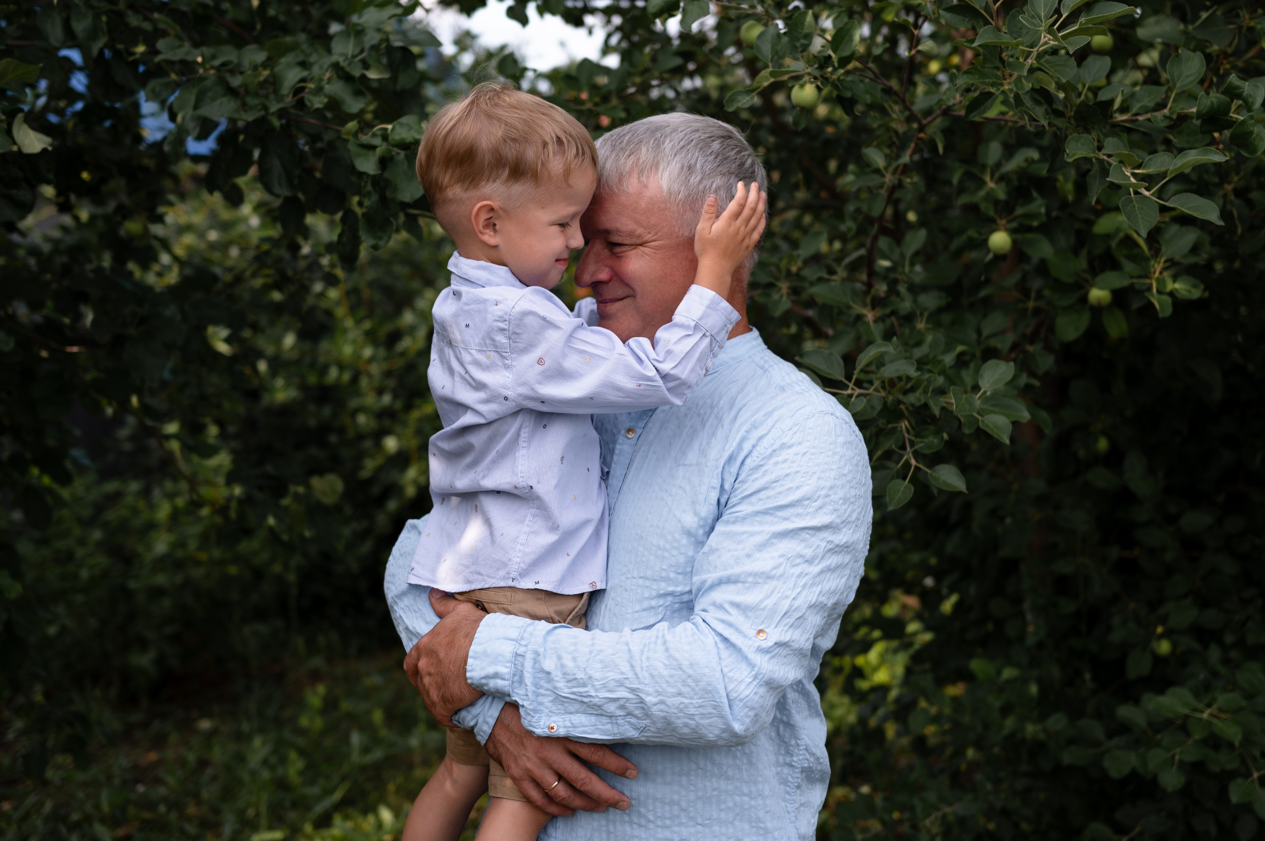 Ромашки и утята. Главная