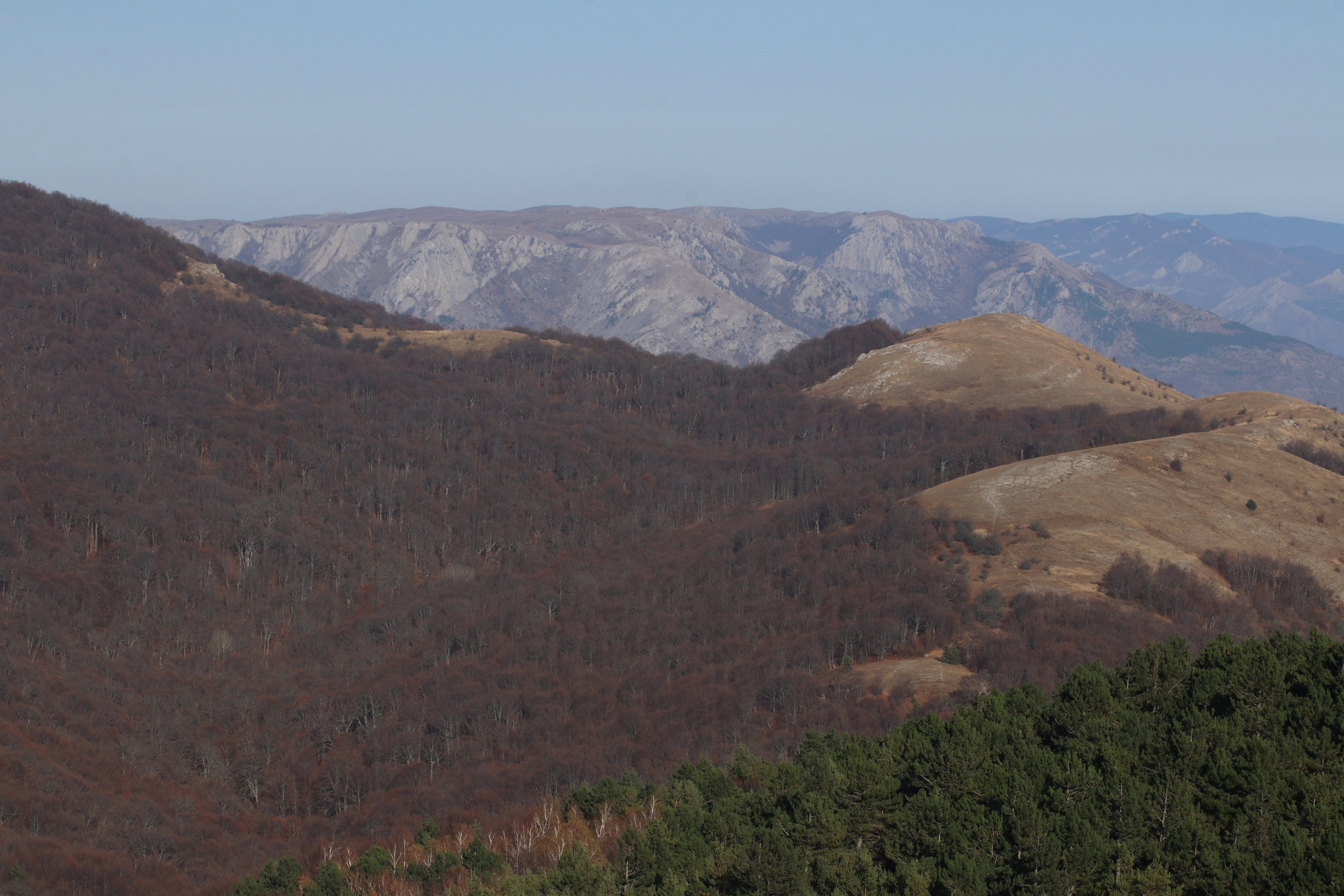 Крым. ЮБК (Гурзуф, Судак и их окрестности). Ноябрь 2023. Путешественник-фотограф из Санкт-Петербурга Татьяна Свистулина