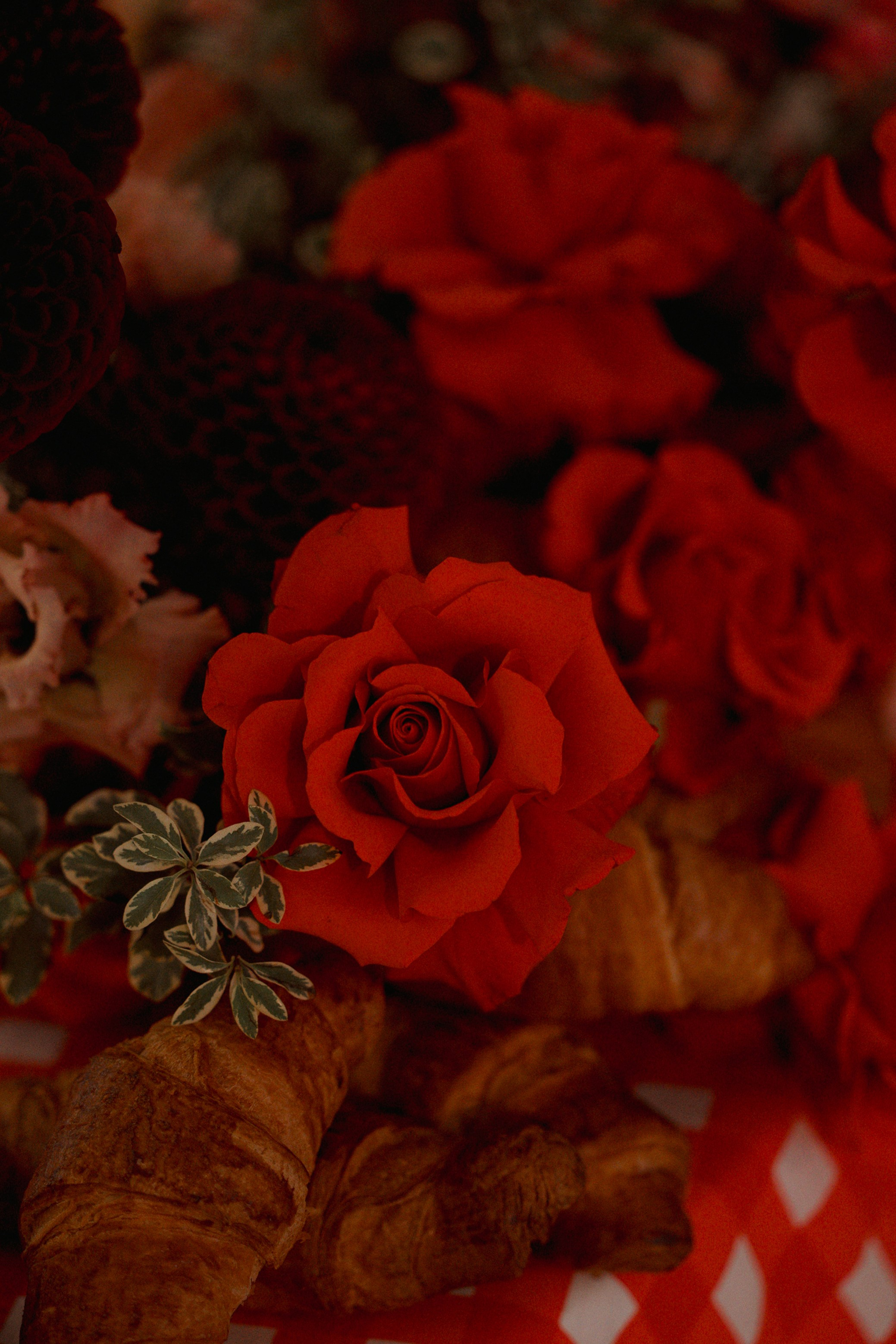 Nikifor+Nataly/ Anons. Семейный и портретный фотограф в Саратове Сахарова Маша