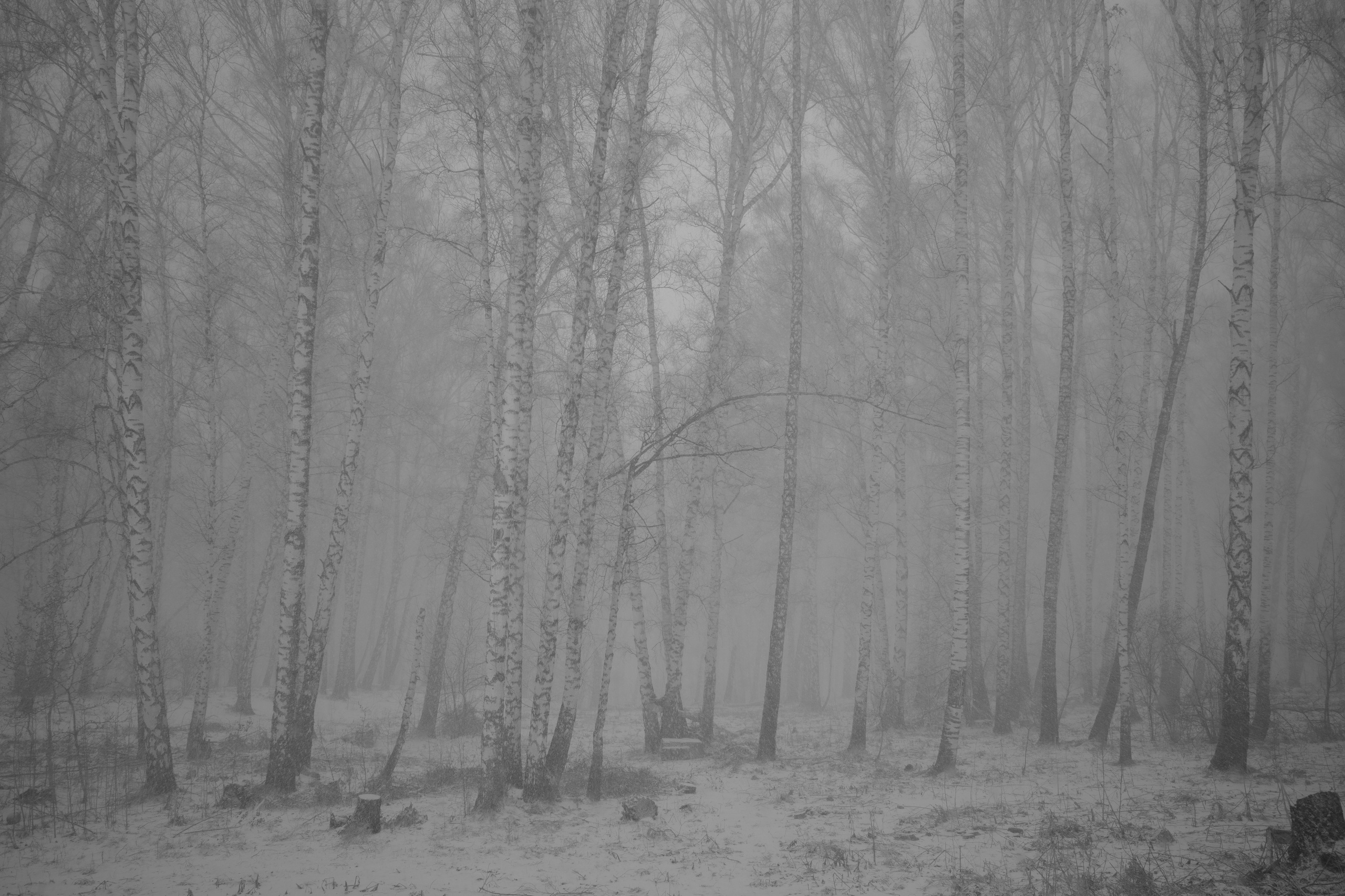 ART. Фотограф Злата Спицына