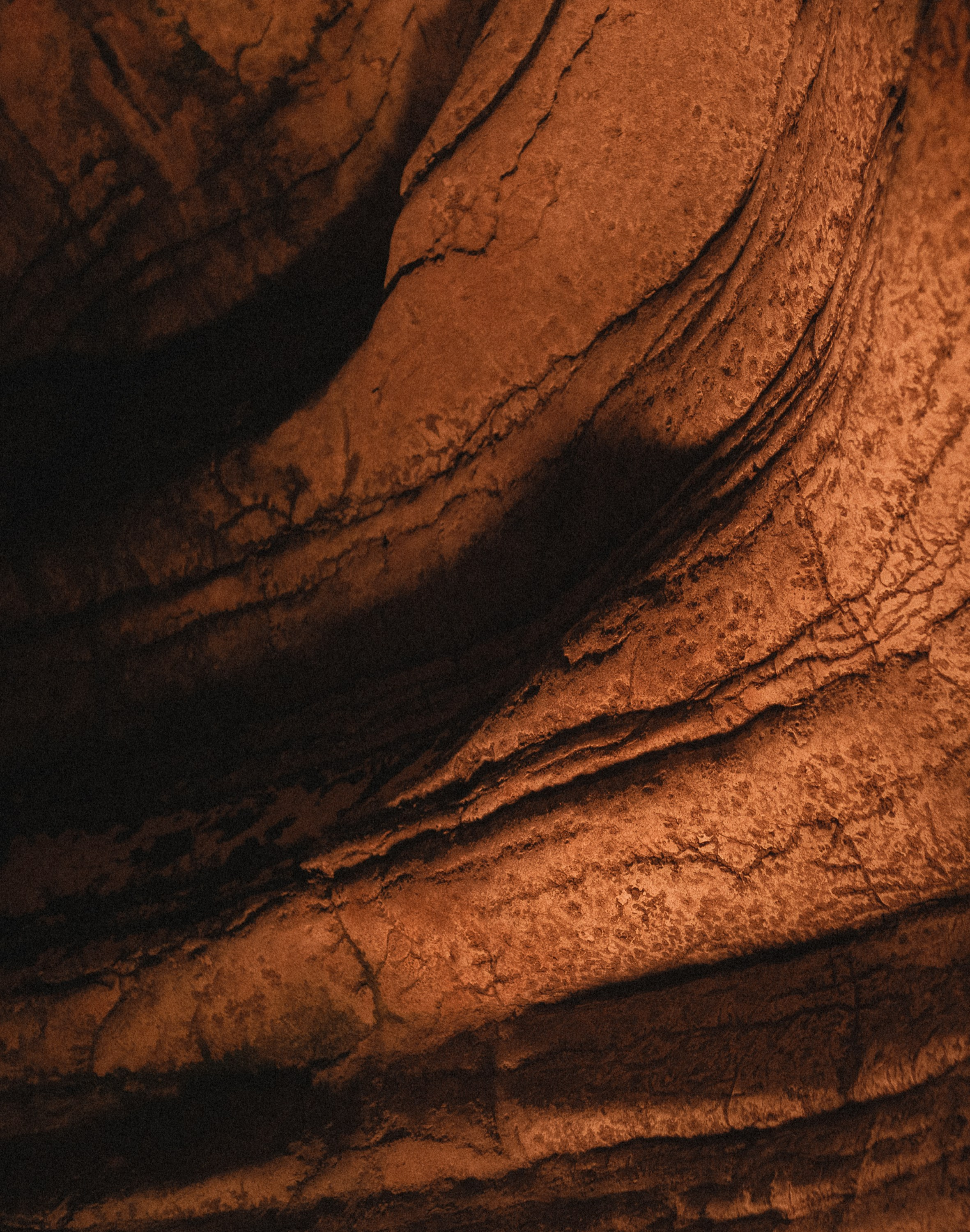 Одно целое. Семейный и свадебный фотограф в Краснодаре