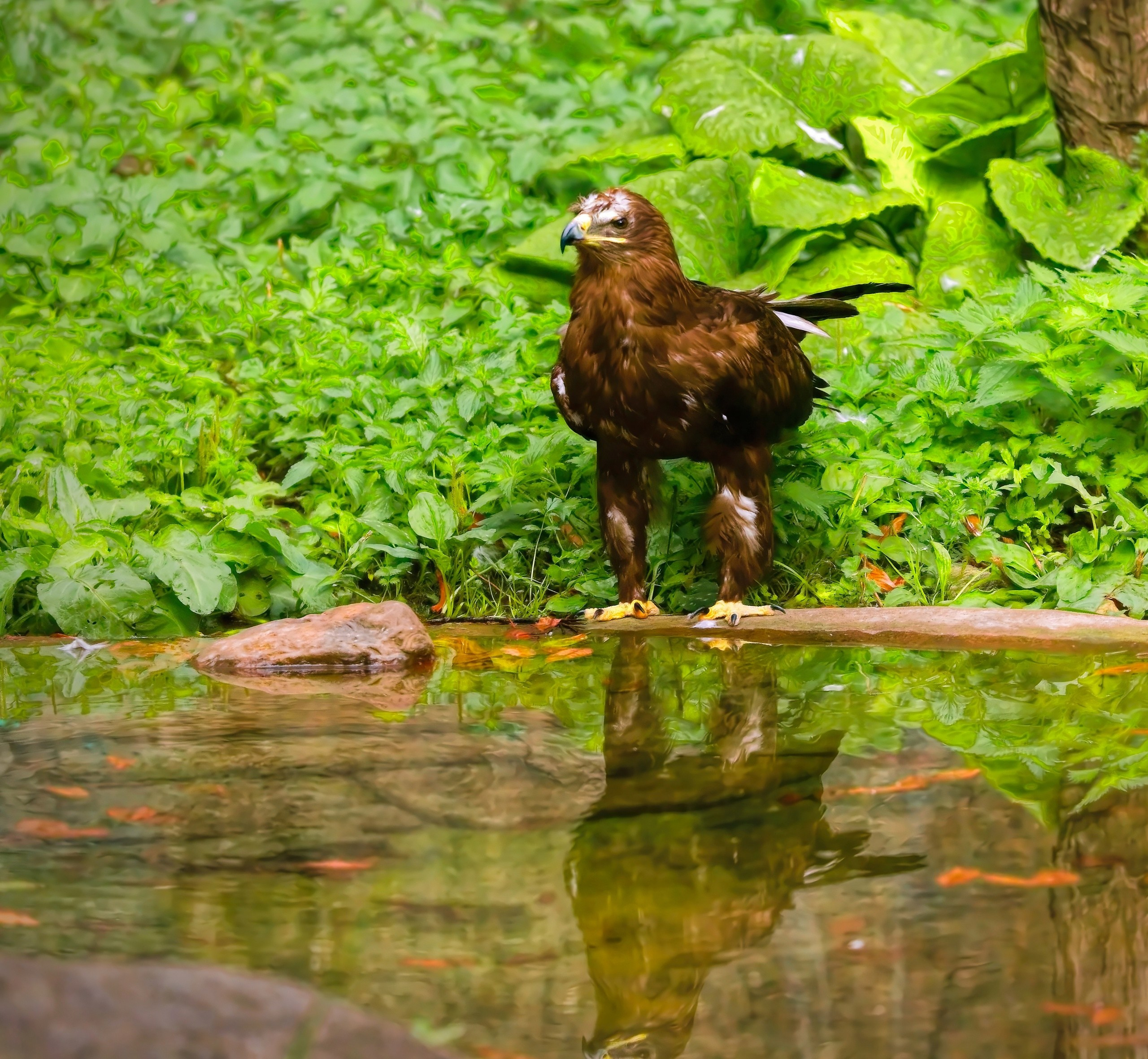 ПРИРОДА. Слепки времени. Фотографии природы и событий. Москва. Сергей Аллагулов