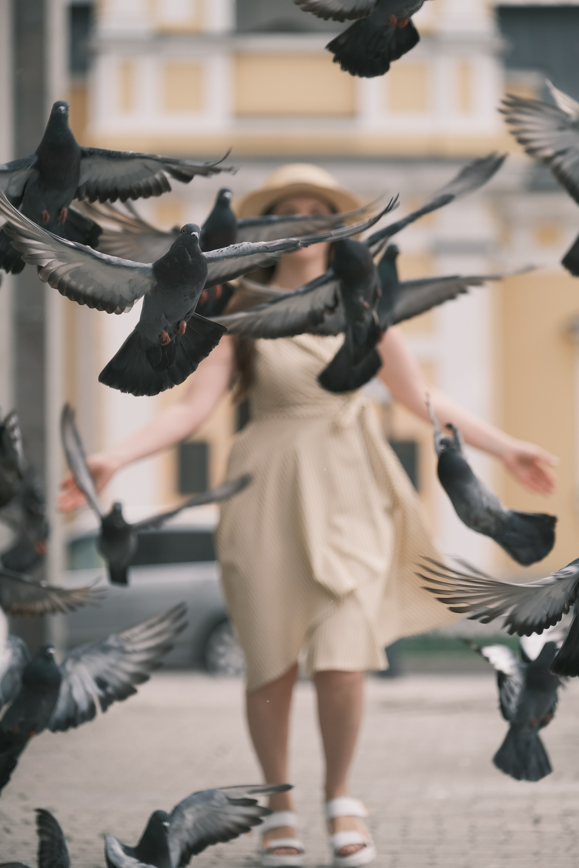 #02 Фотопрогулки. Professional photoartist in St. Petersburg (wedding, reportage, portrait, model book, love story) Alexander Shvedov