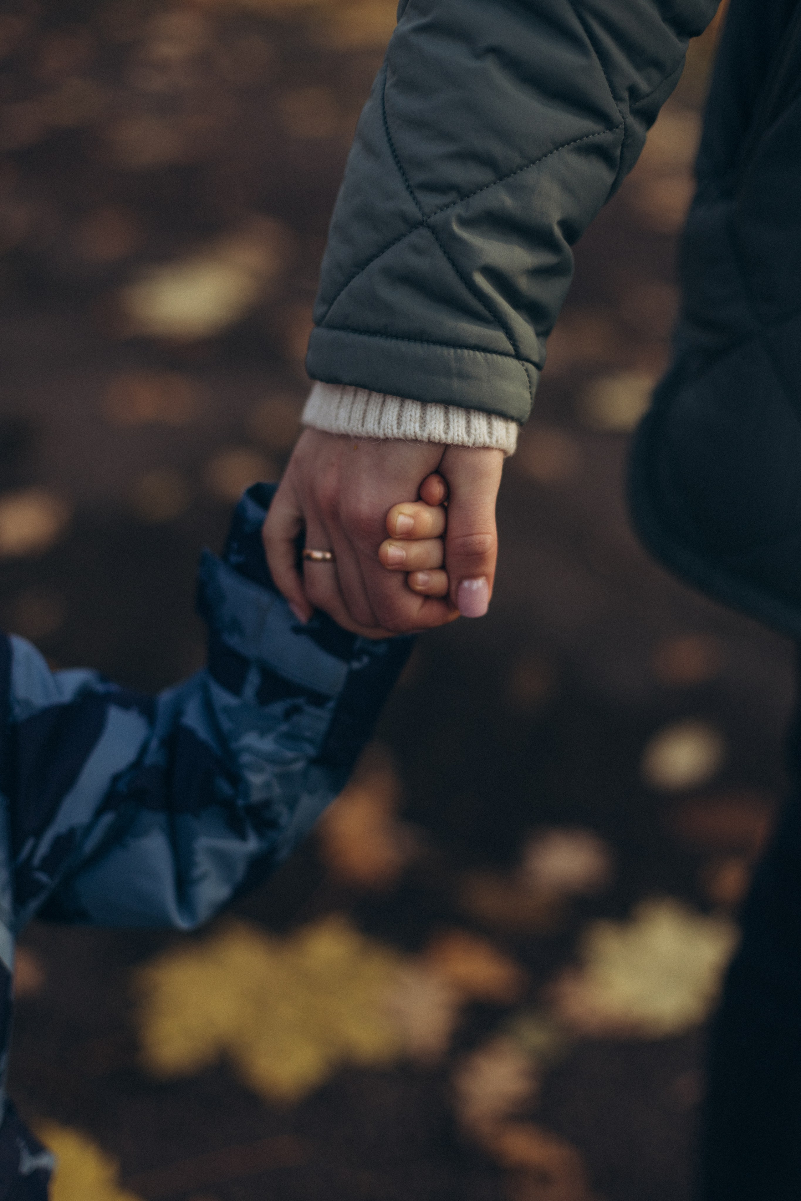 Золотая осень. Фотограф из Петербурга