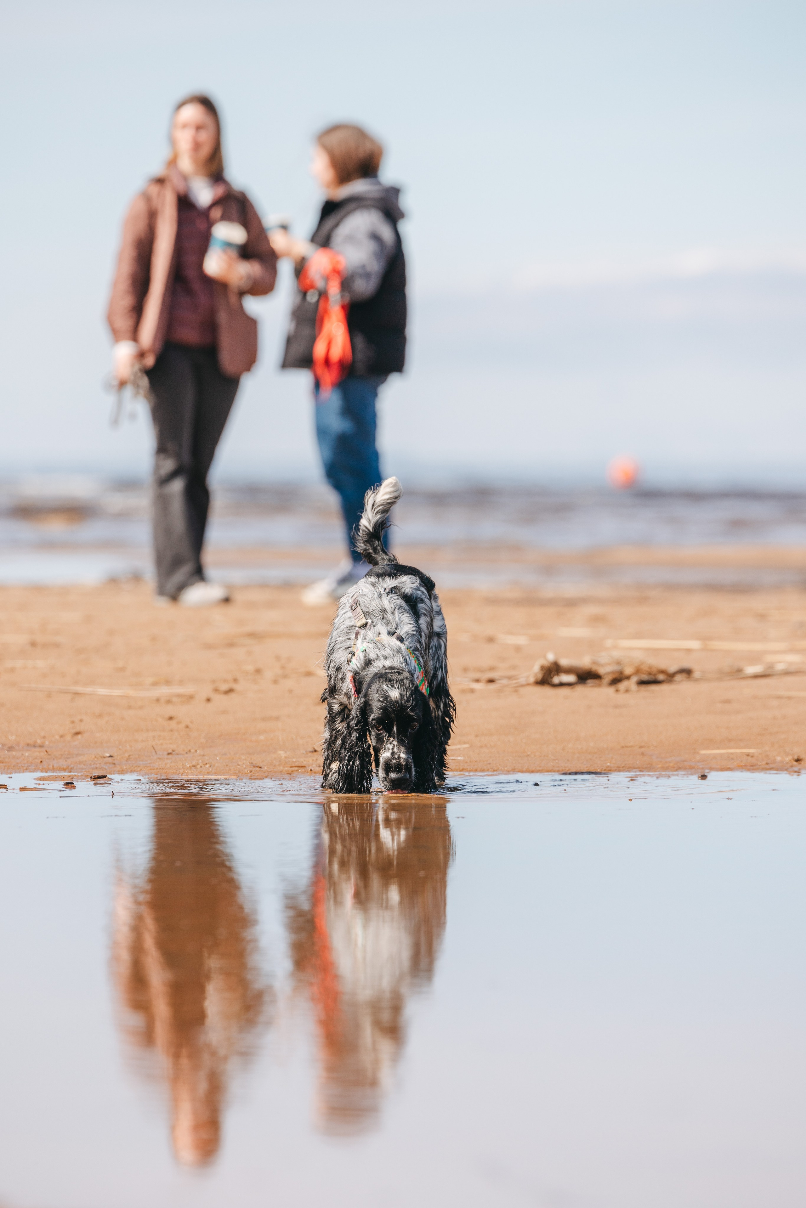 Спанимания. Фотограф анималист Осипчикова Мария