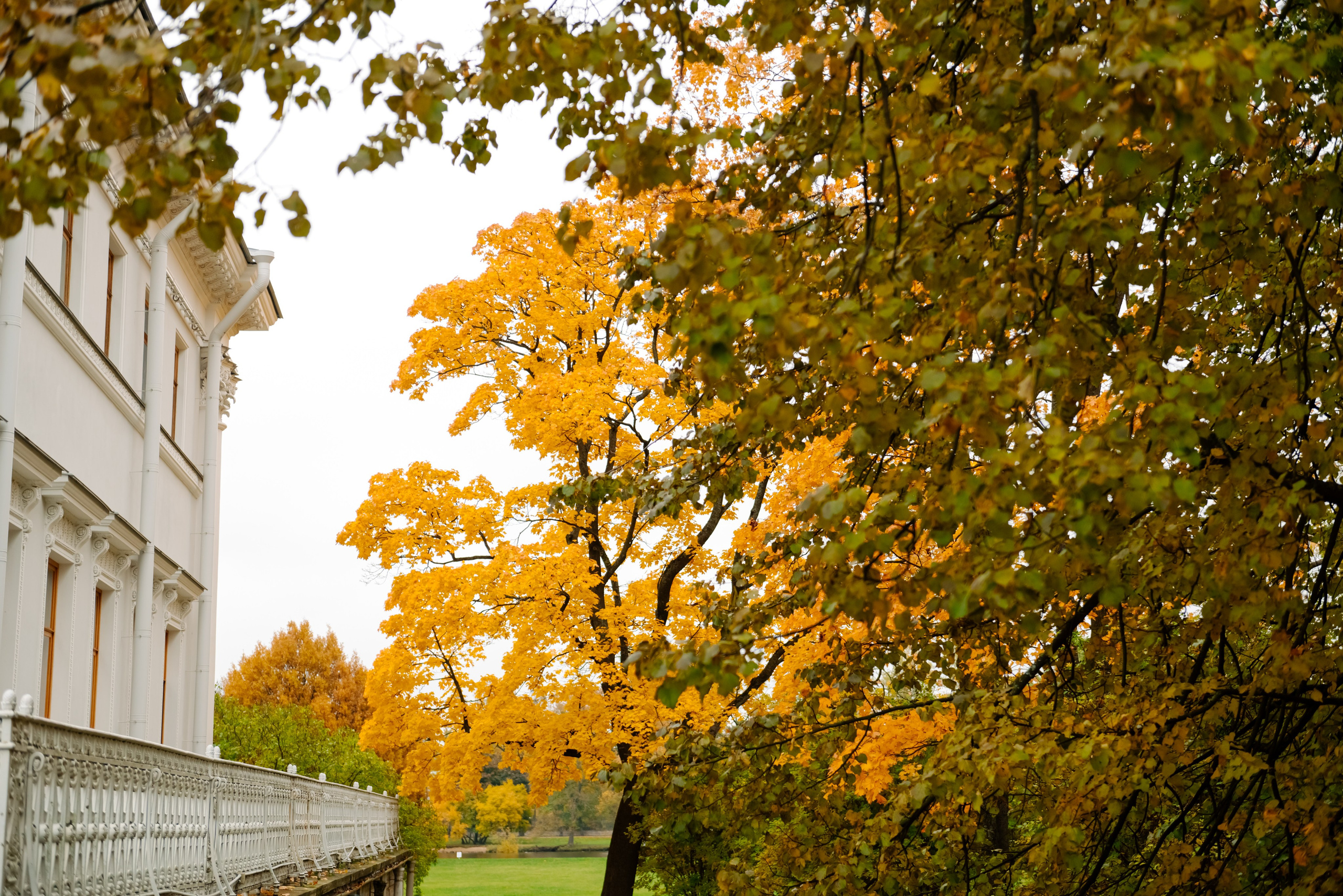 Осенняя фотосессия в Питере на Елагин острове. Свадебный и сеейный фотограф в Санкт-Петербурге Елена Худякова