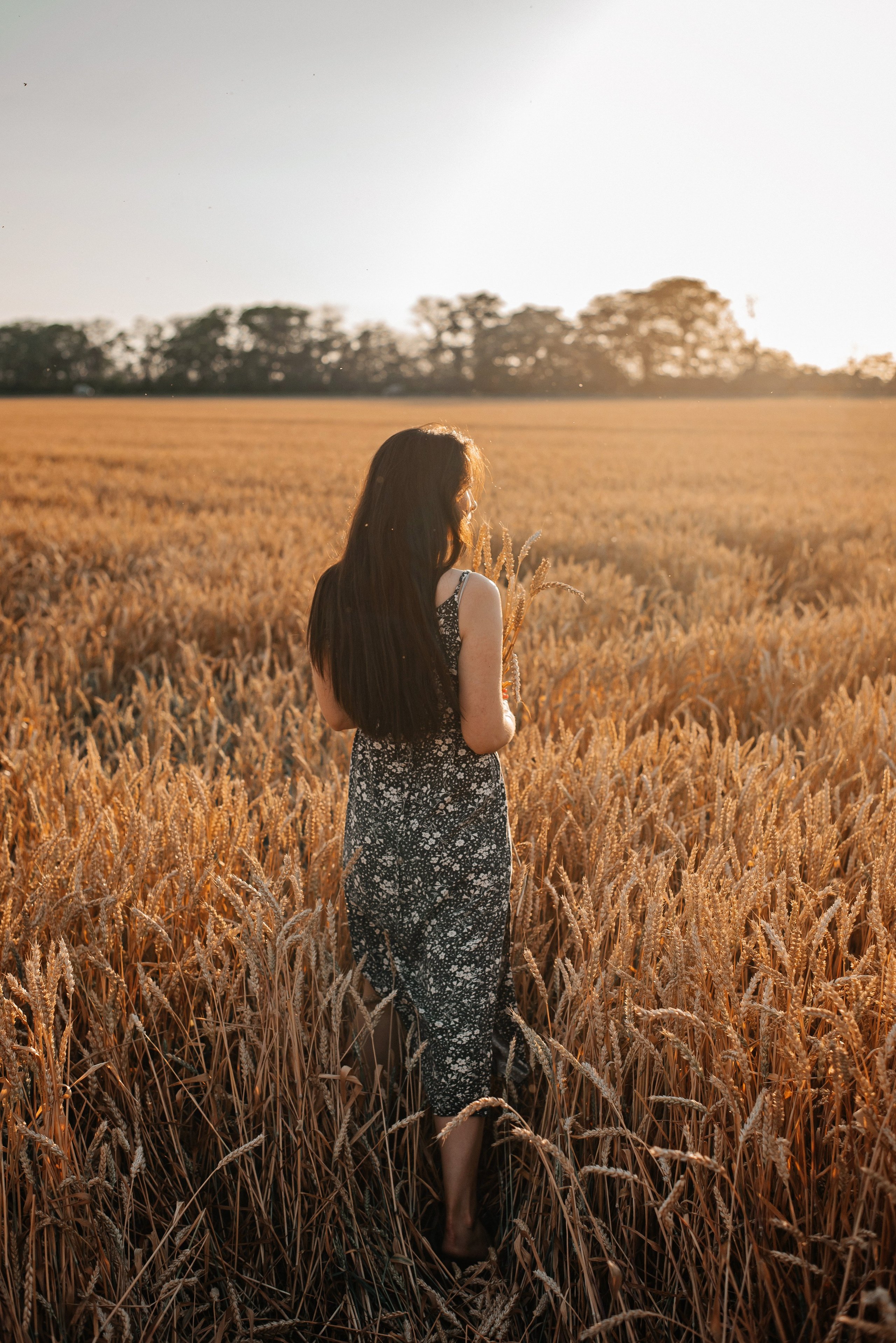 В поле на закате. Детский и семейный фотограф выпускной альбом Приморско-Ахтарск