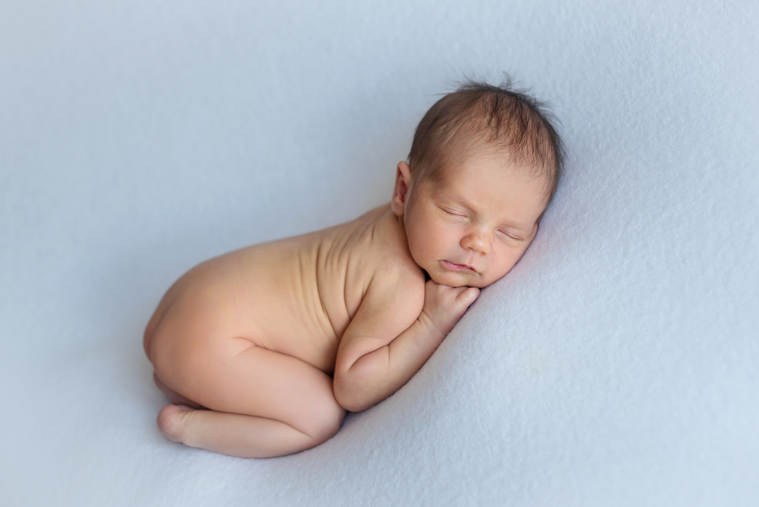 Платон 12 дней. Фотограф новорожденных Елена Панова