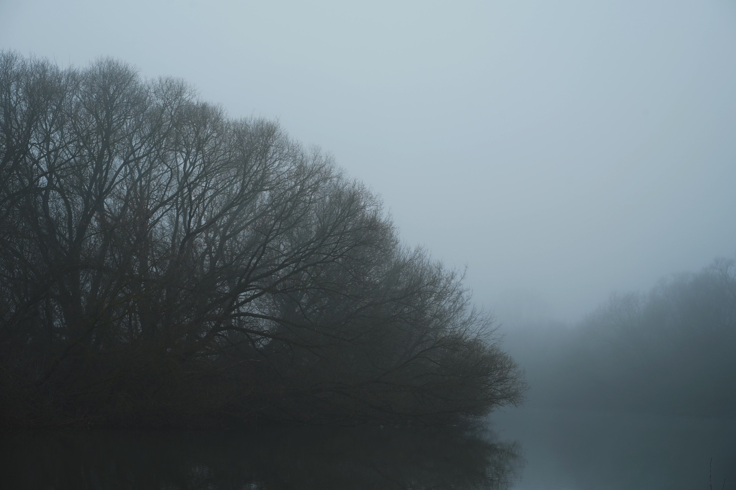 DIRTY RABBIT. Фотограф и визуальный художник в Туле / Николай Рейзвих