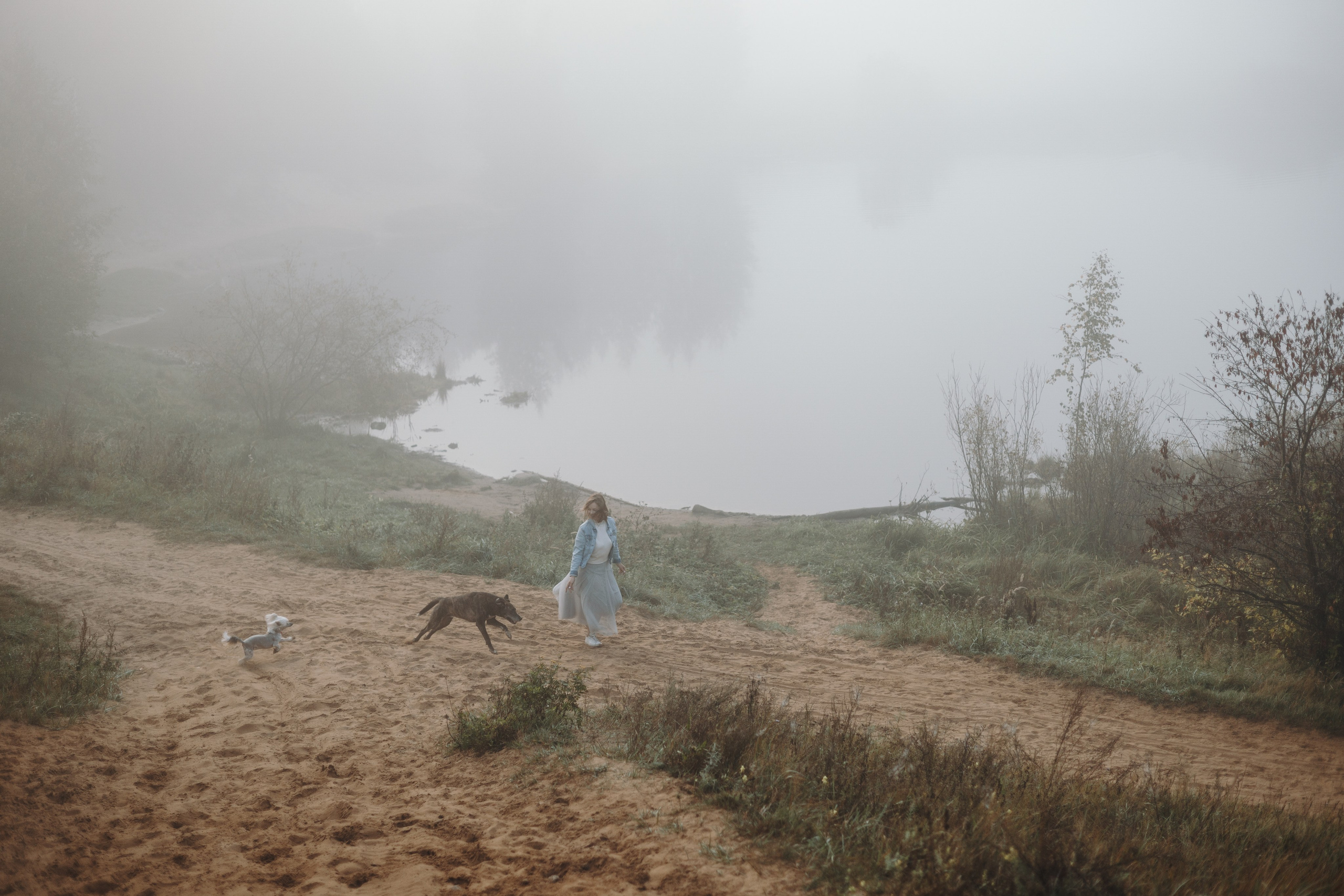 Любовь и ее хвостики. Фотограф — Анималист | Санкт-Петербург