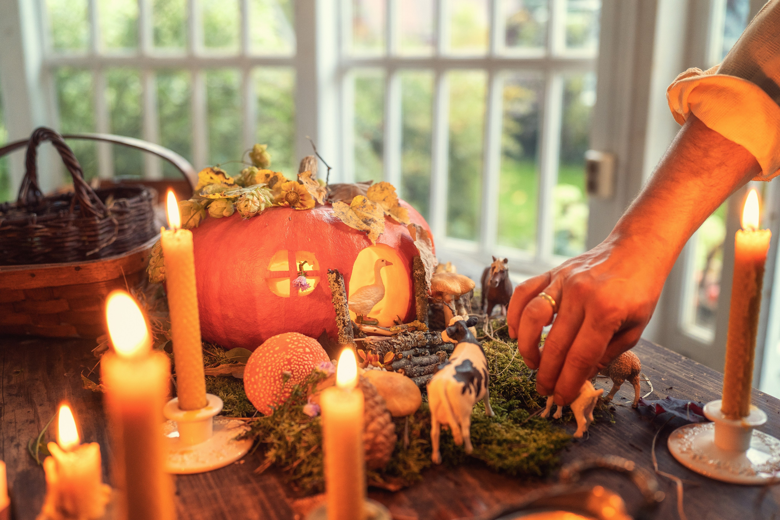 Семейные радости. Осень в Old New Home. Семейный фотограф Новая Рига (Звенигород, Истра) Евгения Литовченко