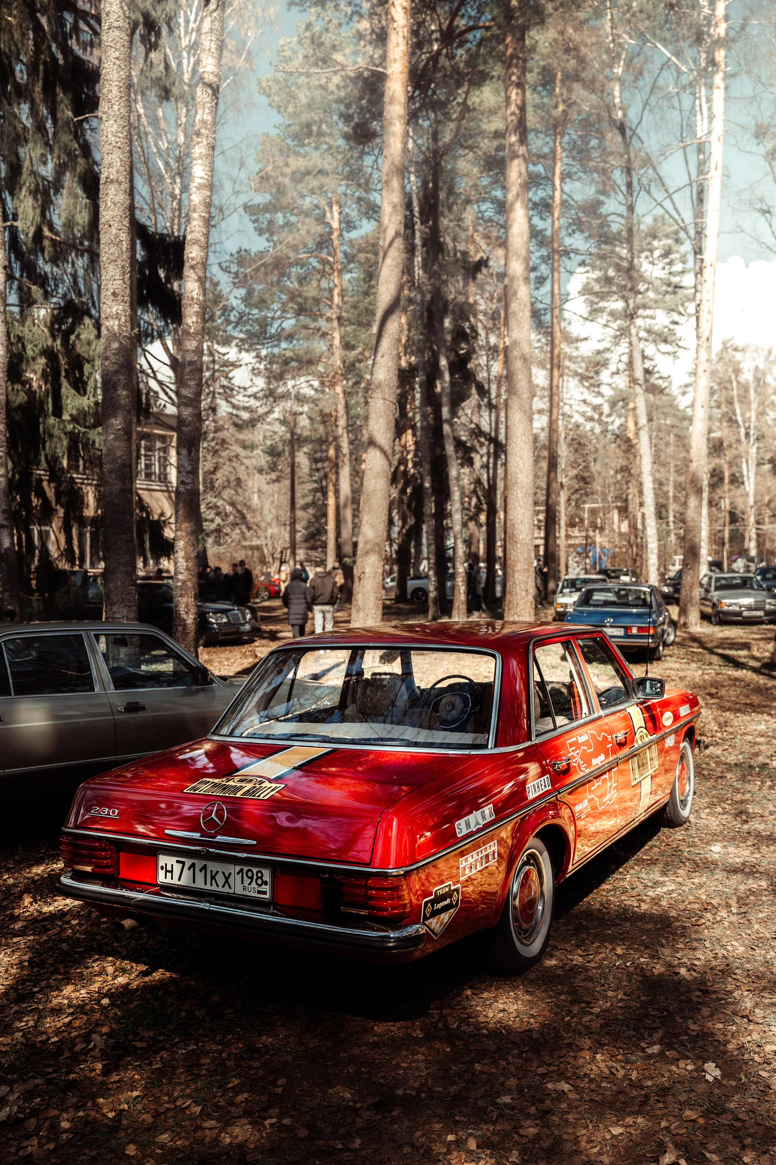 BENZ CLASSIC PICNIC. АВТОСПОРТИВНЫЙ ФОТОГРАФ