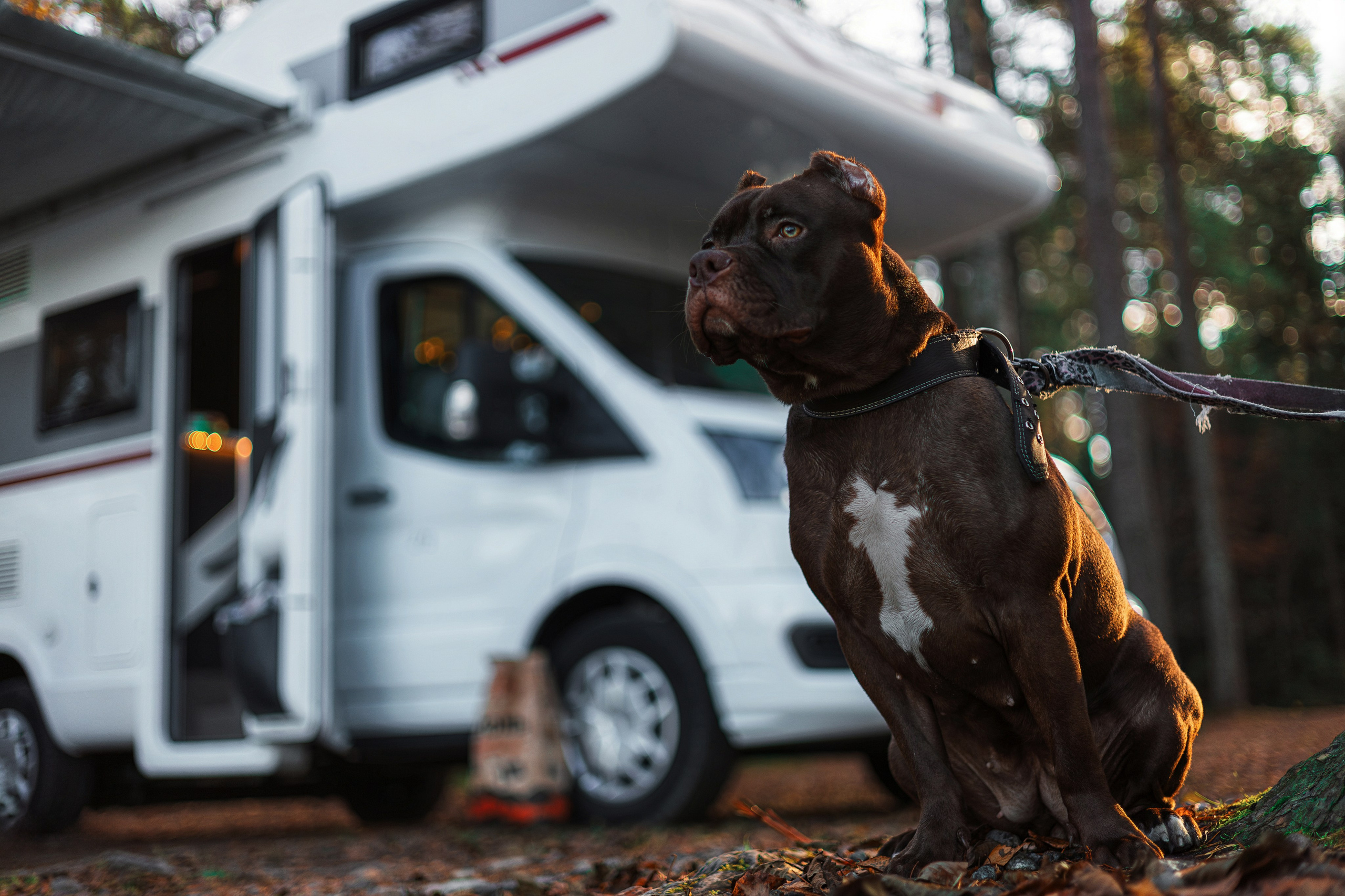 Рекламная фотосъемка автодомов в Санкт-Петербурге | Фотограф для бизнеса