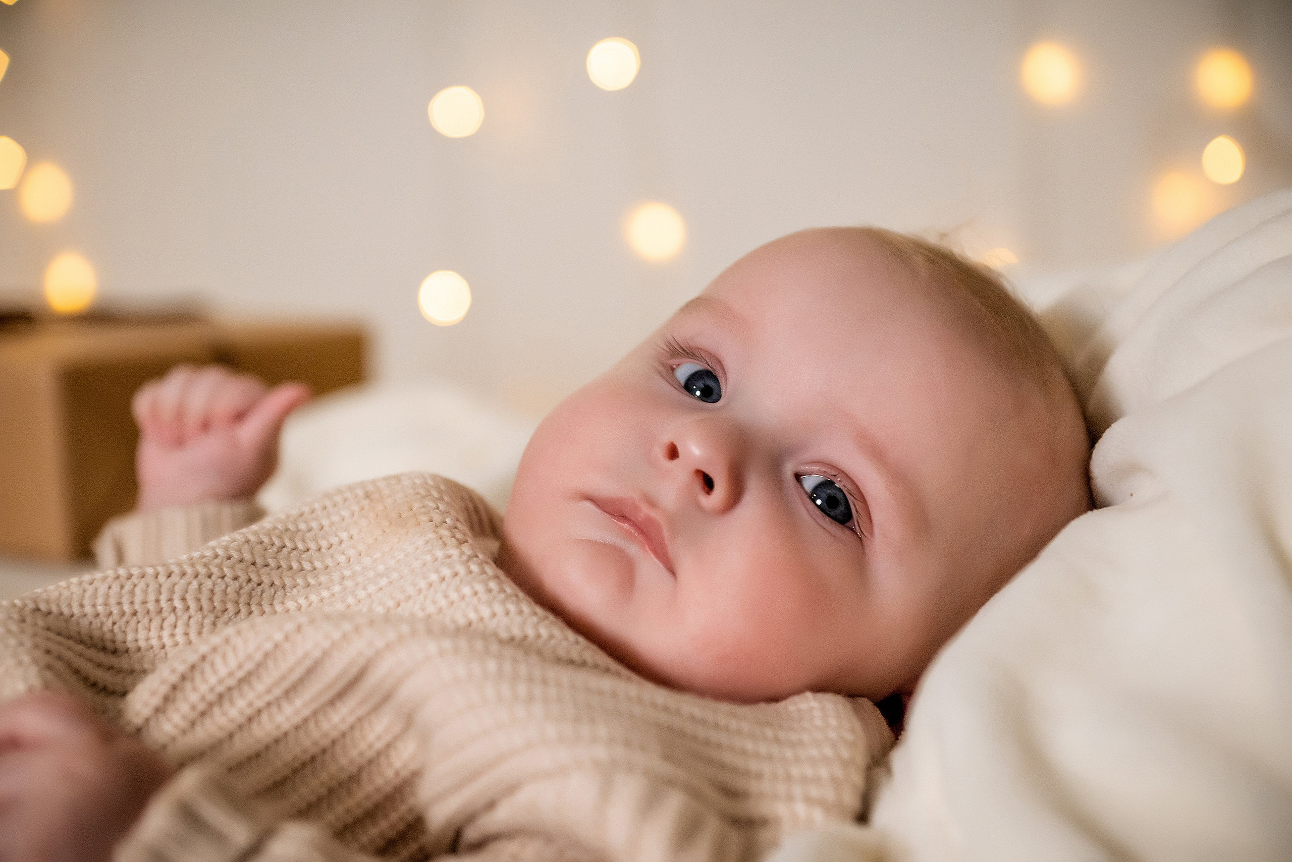 Портфолио фотографа: Новогодние фотосессии — Идеи, примеры и вдохновение для ваших праздничных кадров