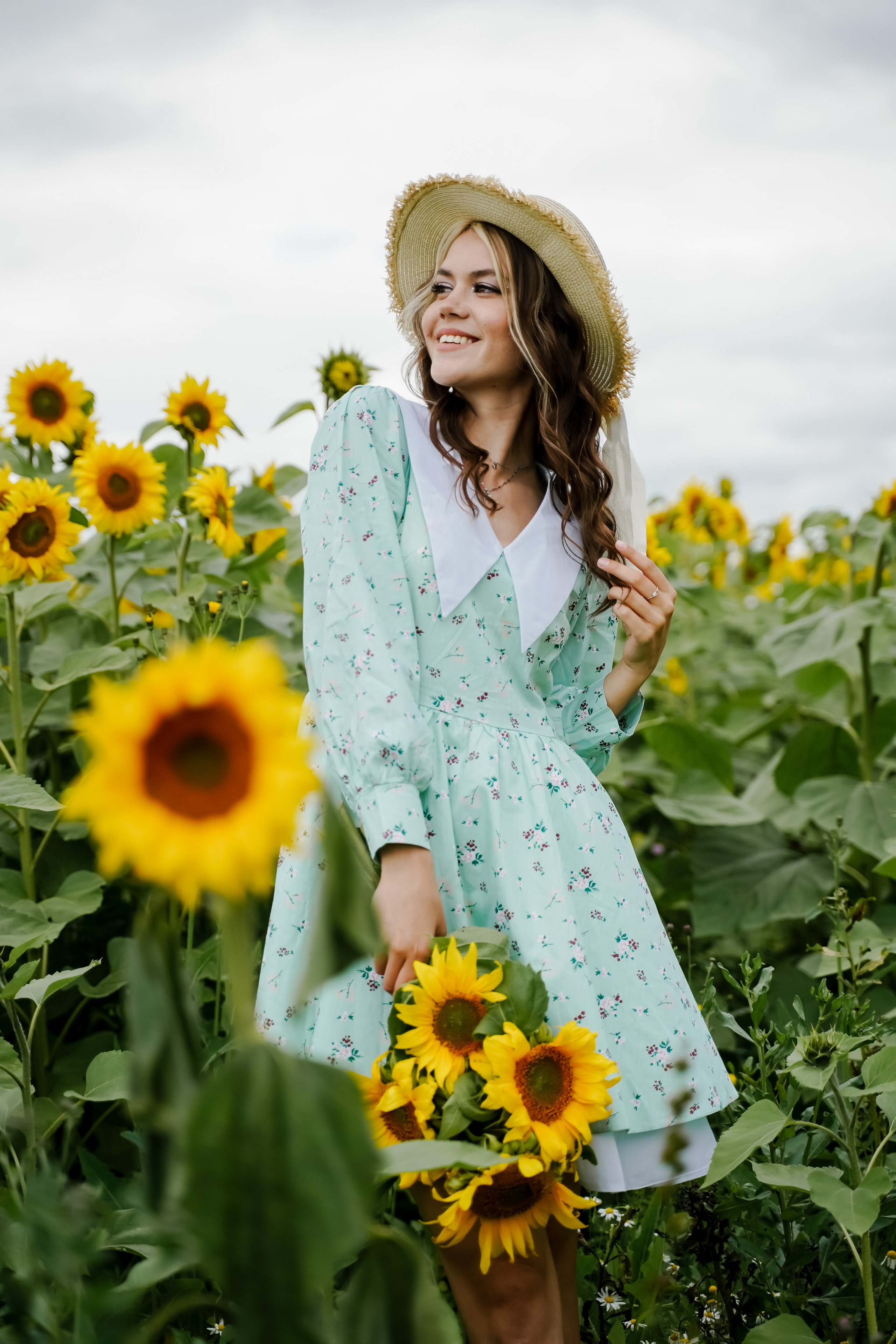 Подсолнухи. Бирск