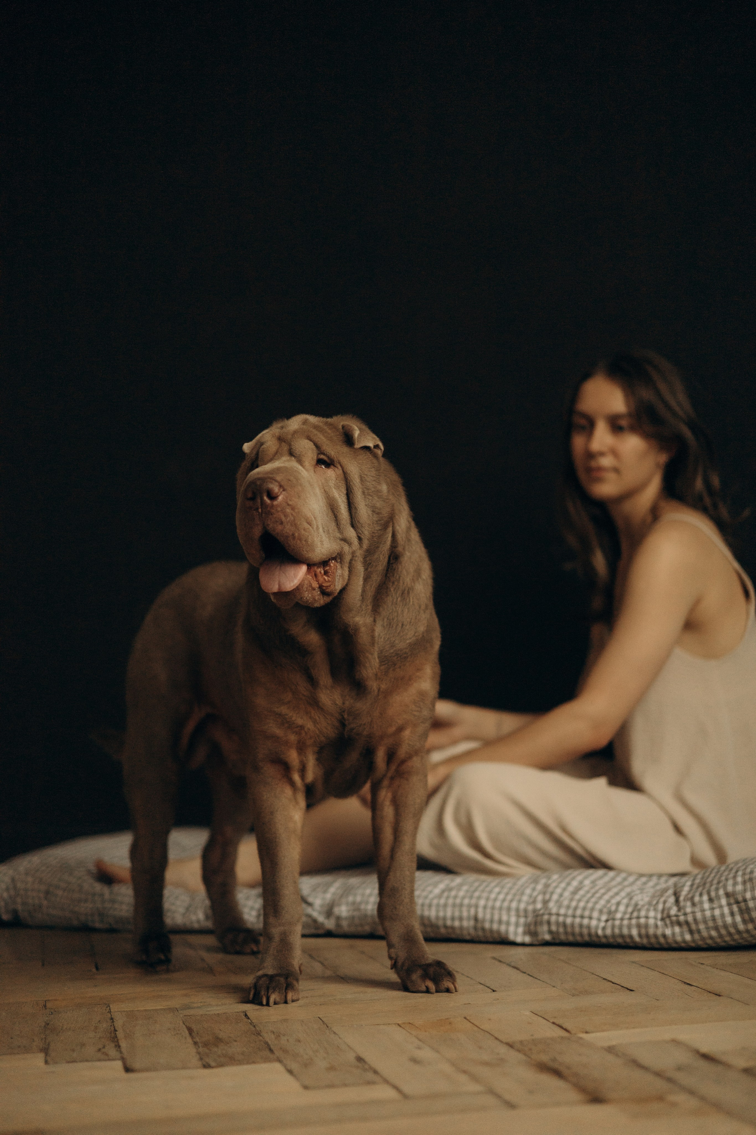 Ульяна & Вагнер. Фотограф — анималист •love-story•|Санкт-Петербург