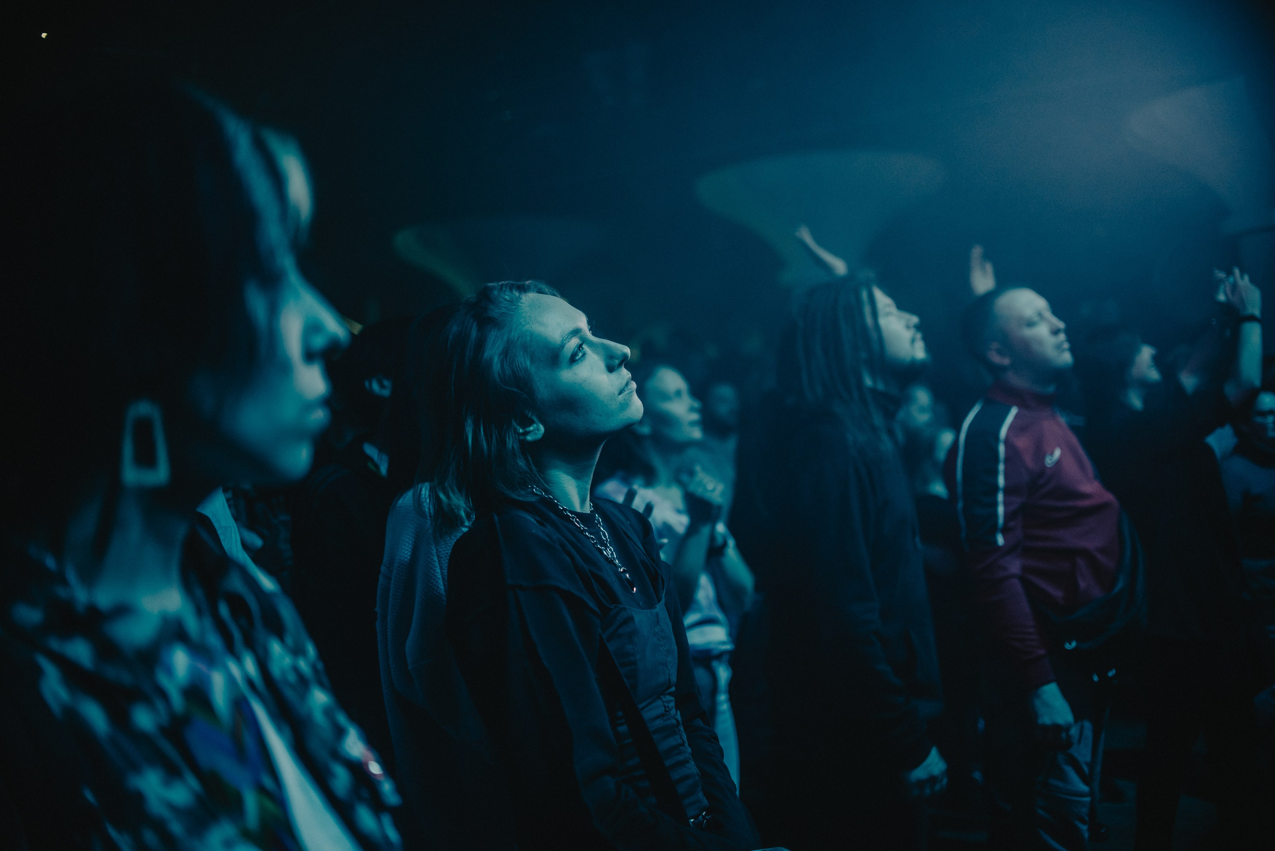 Дельфин | Gaudi. Контент фотограф Илья Урс