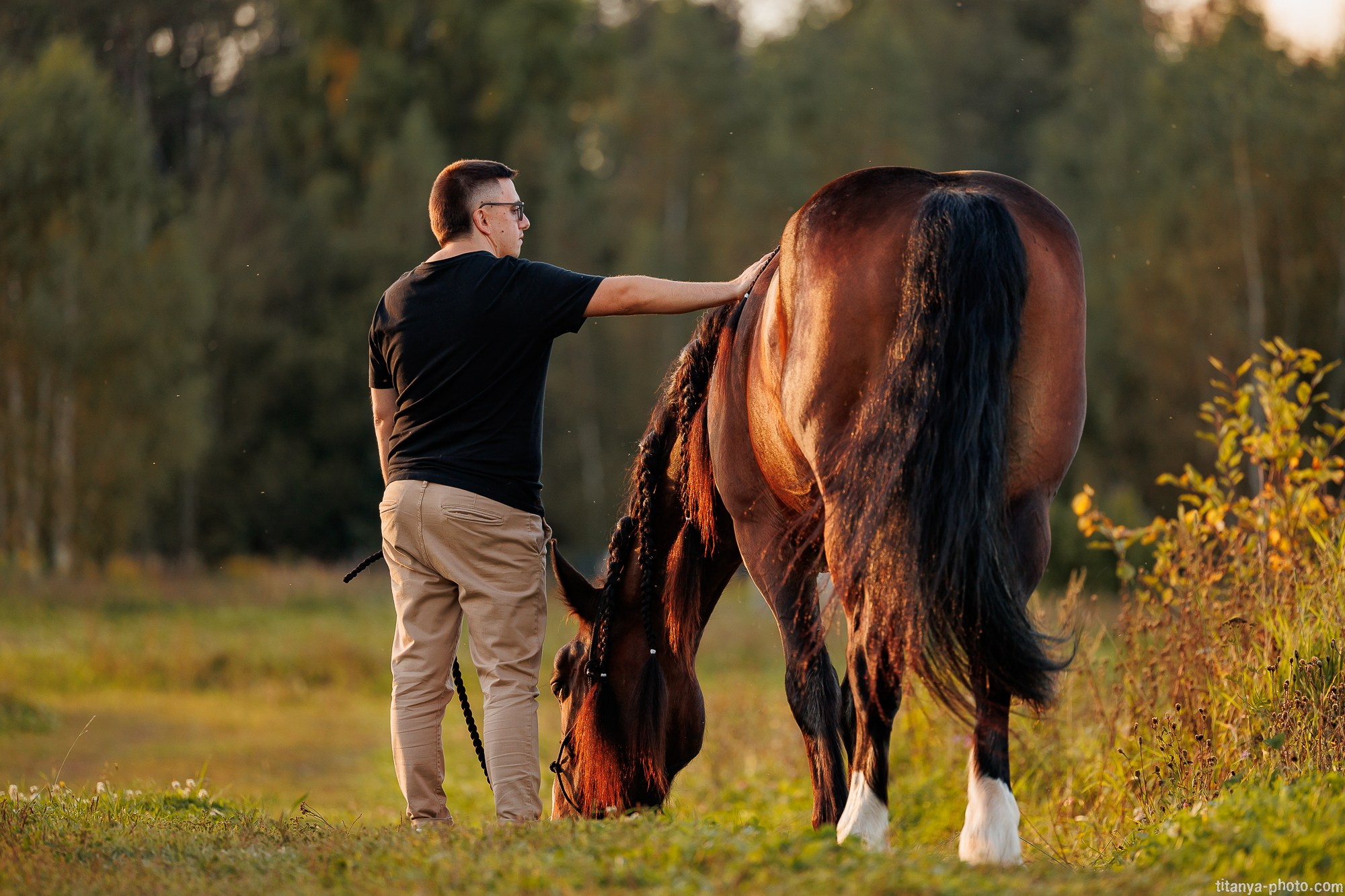 Закатная семейная фотосессия: про Настю и её дружную семью. Фотограф собак, фотограф-анималист Аня Титова (Titanya). Москва