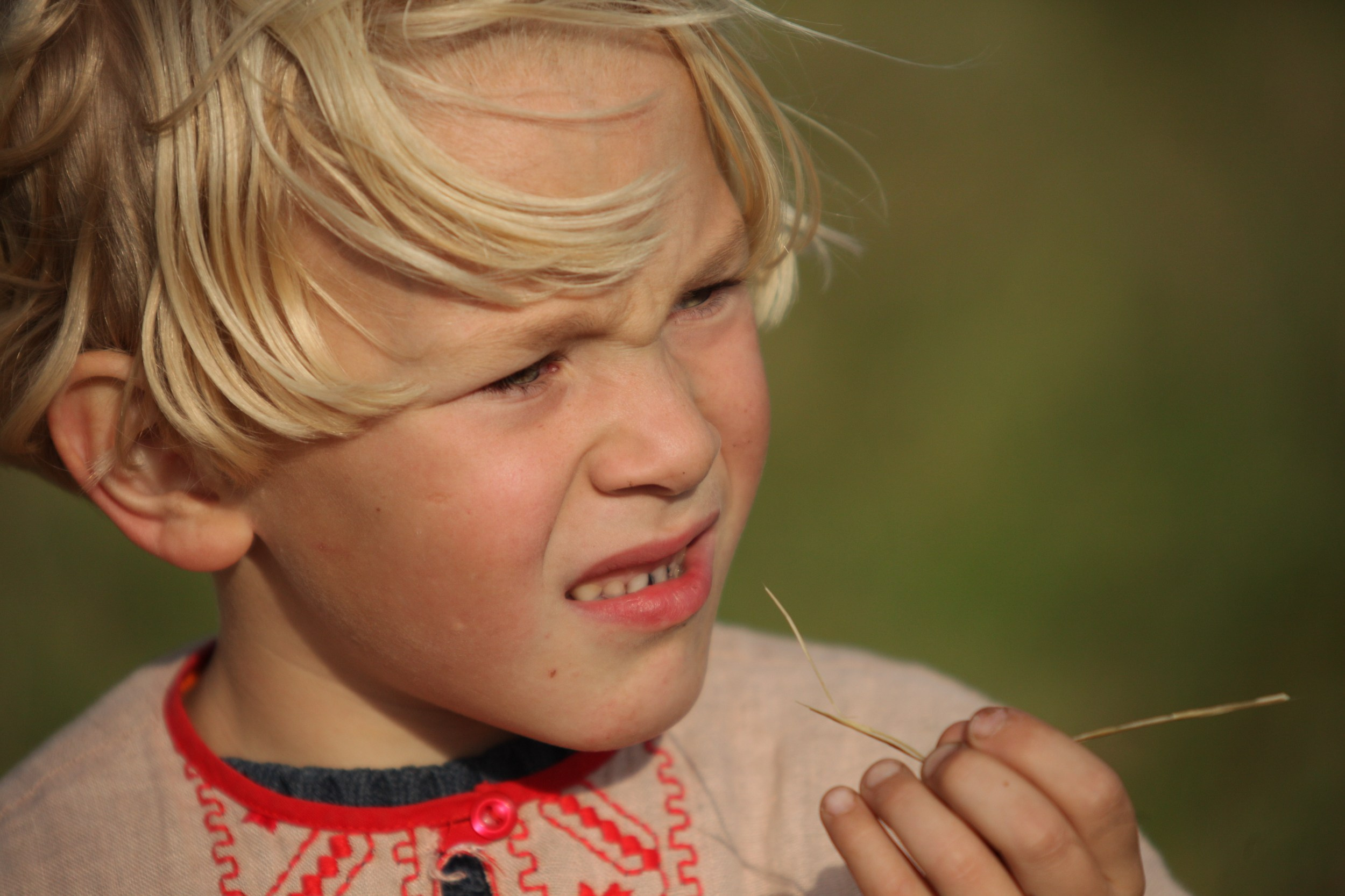 Новолетие в Пречистом бору. Фотограф Юлия Близнецова