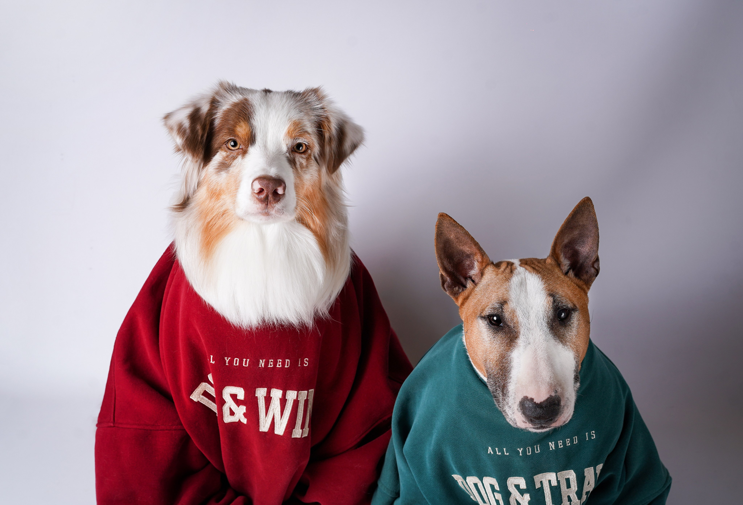 Юни и Панда. Фотограф-анималист в Санкт-Петербурге Яна Мартынова