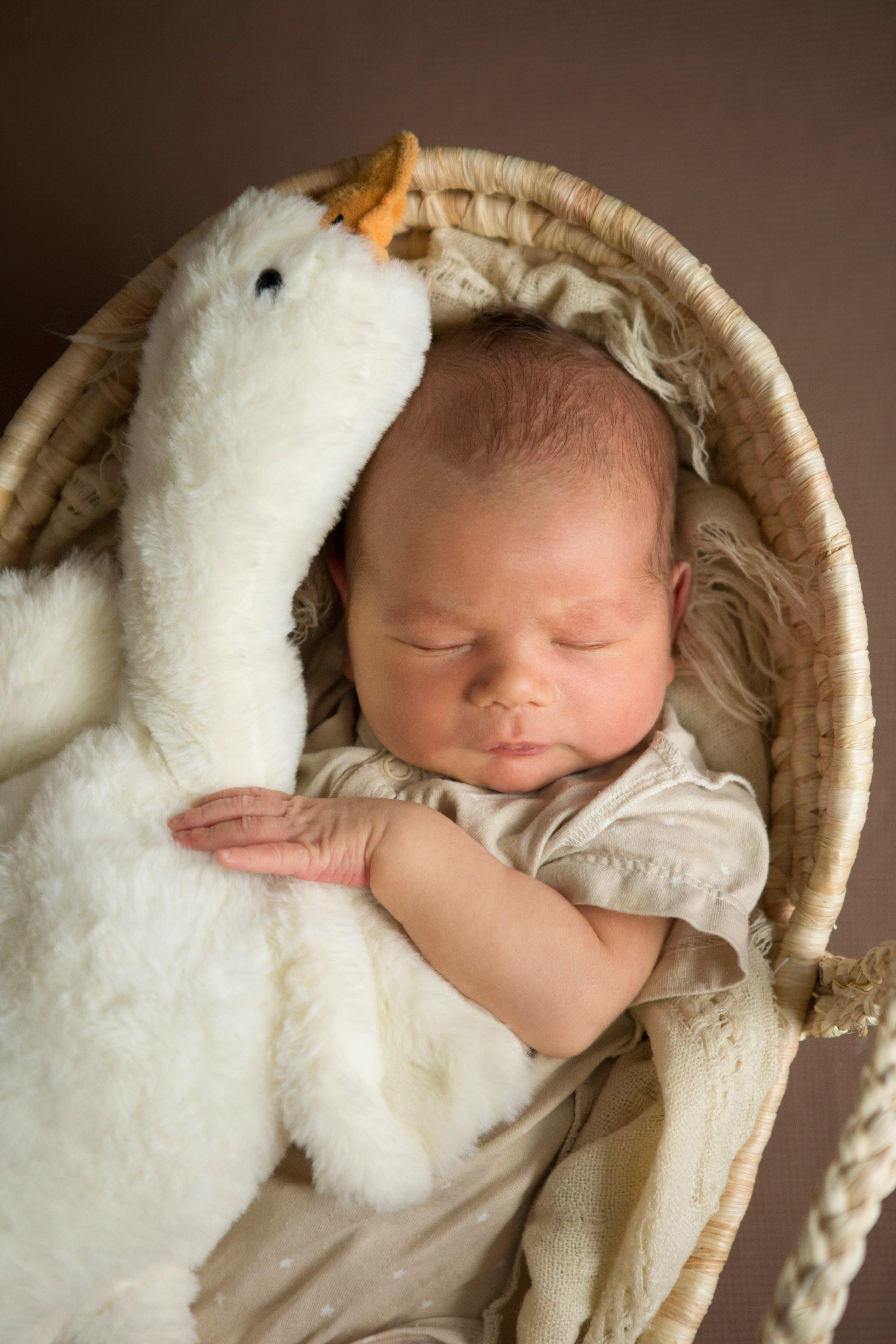 Фотосессия новорожденного. Фотограф новорожденных и беременности, Екатеринбург Сметанина Наталья