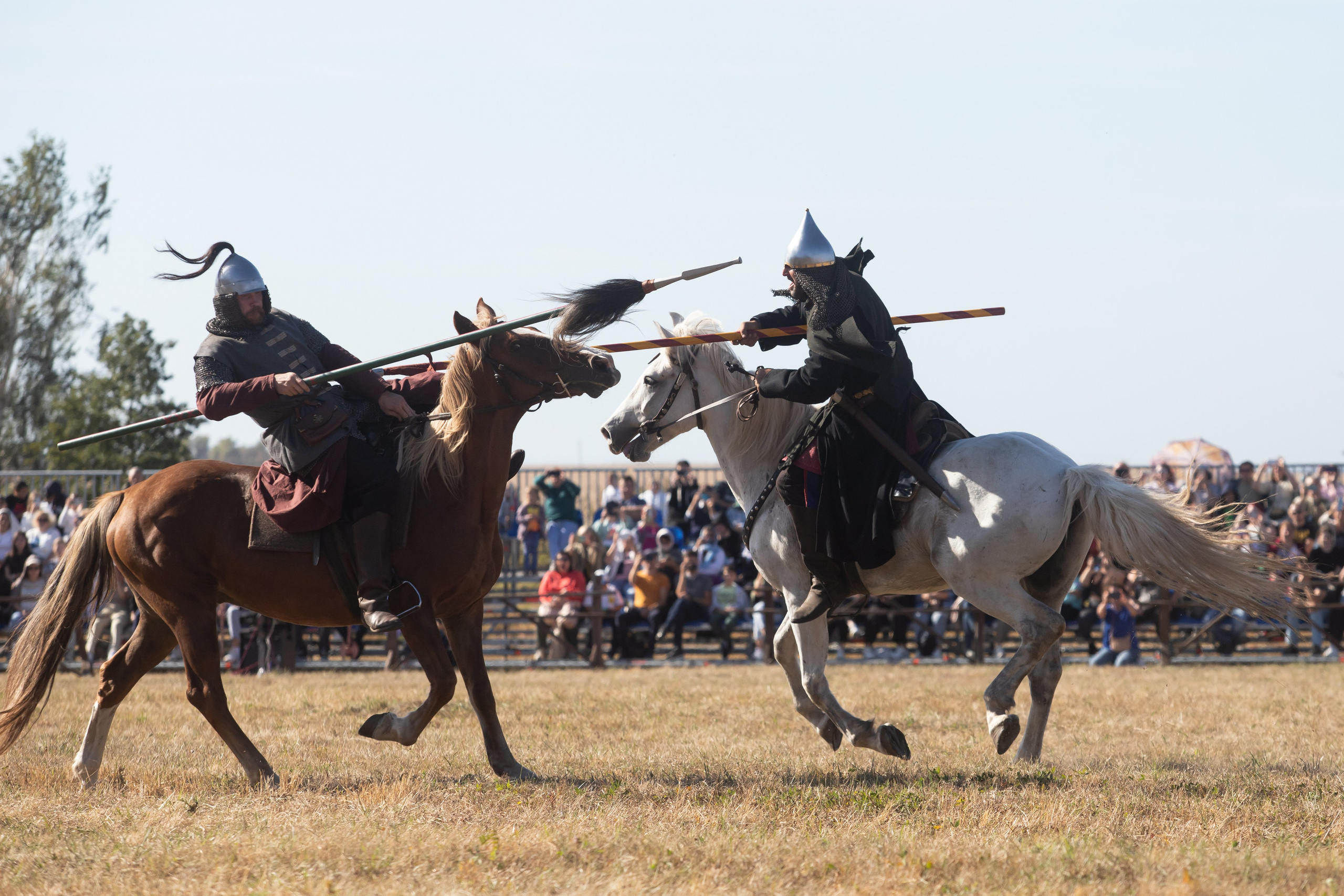 644-я годовщина Куликовской битвы (21 сентября 2024). Репортажный фотограф Алексей Пирязев