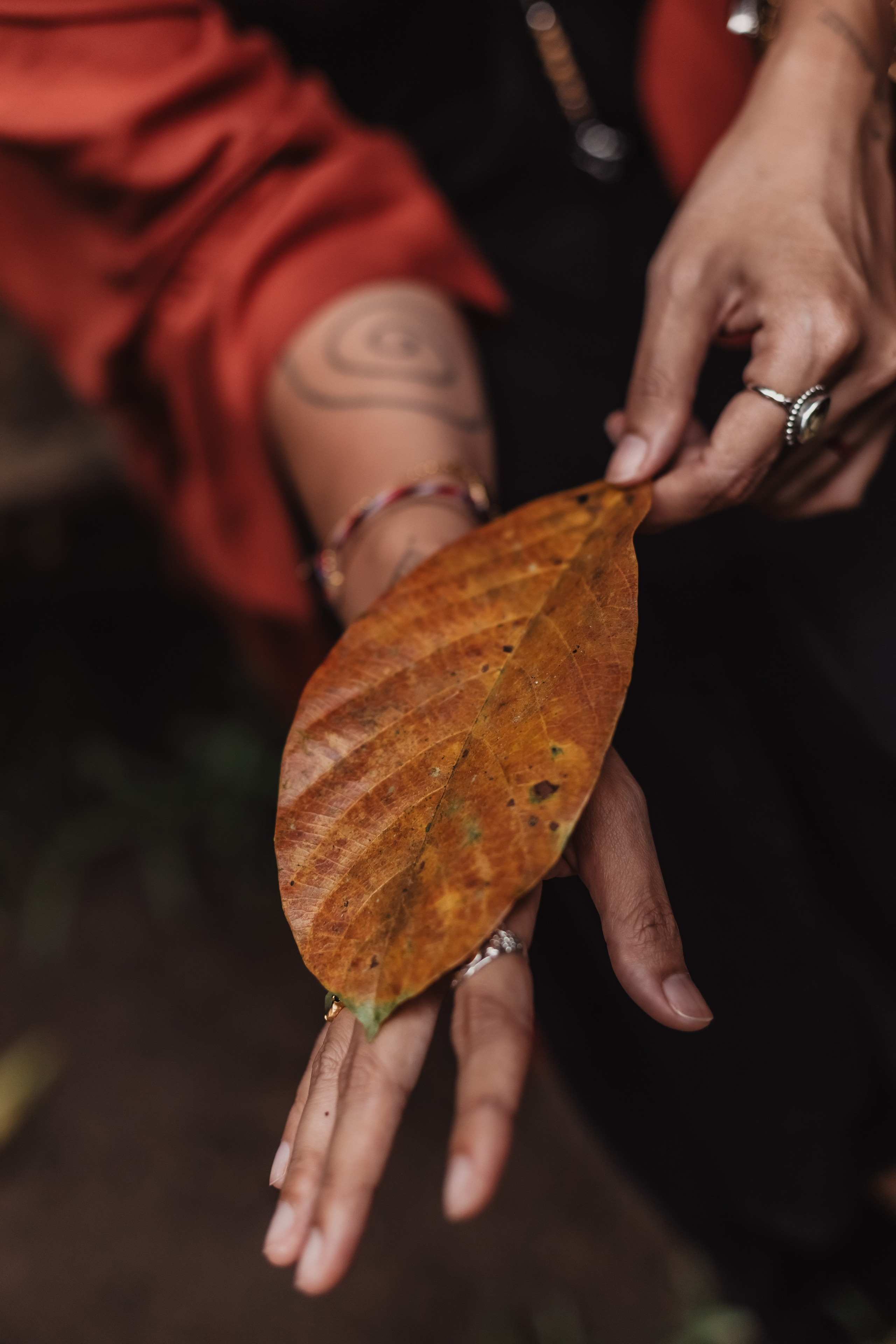 Connection. Мариам Багдасарян