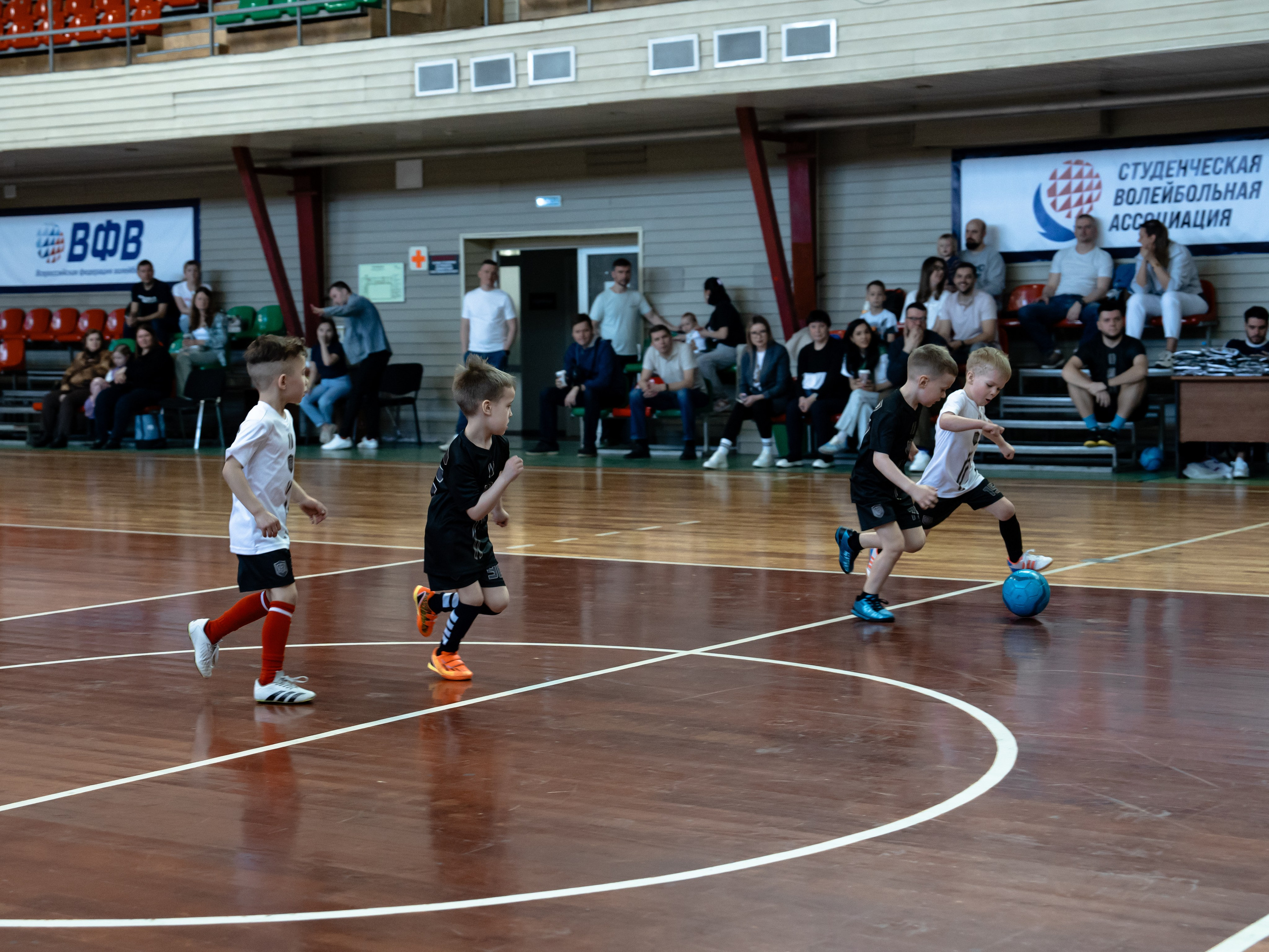 Тики-Така Противостояние 2025. Крамер Юлиана детский и семейный фотограф