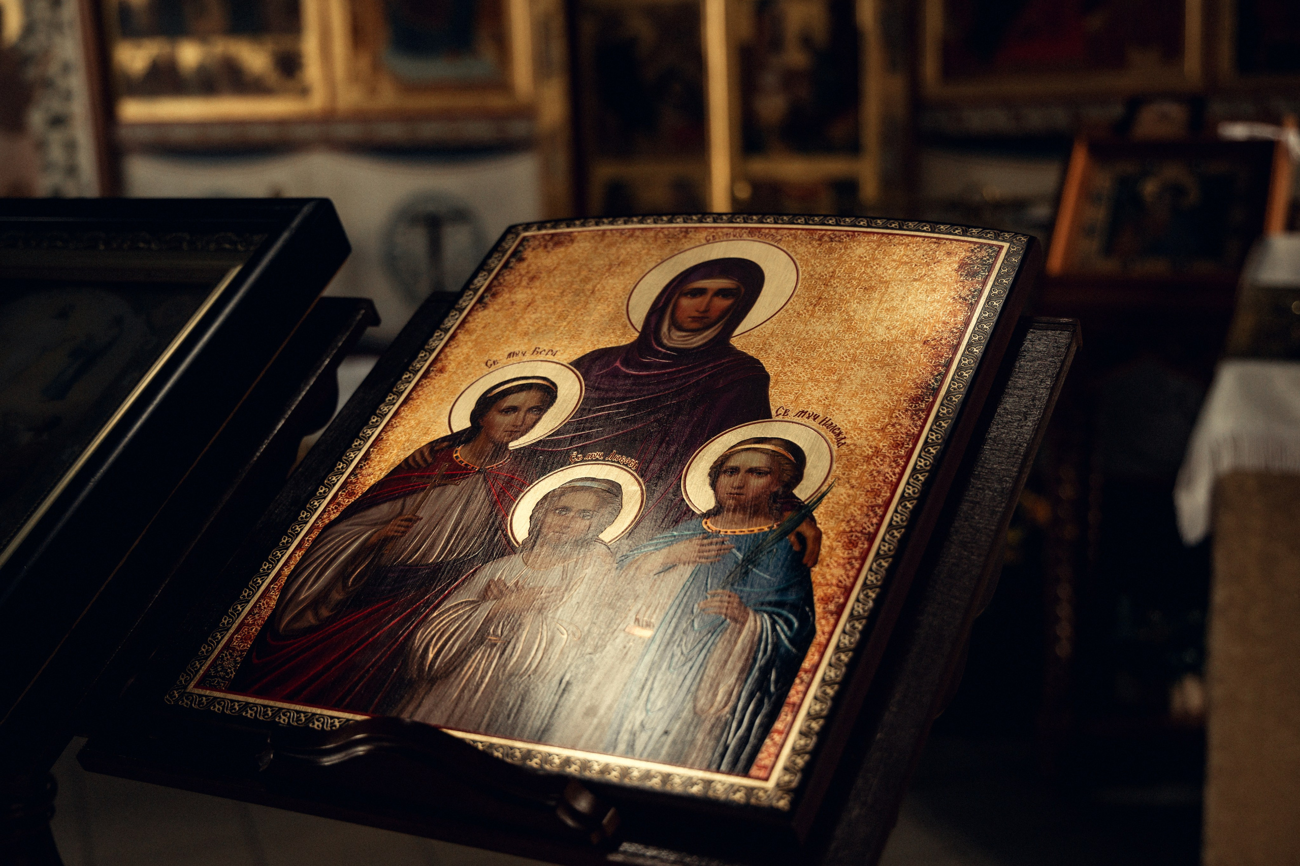 Нинэль. Свадебный и семейный фотограф в г. Волхов Алексей Кочерыжкин