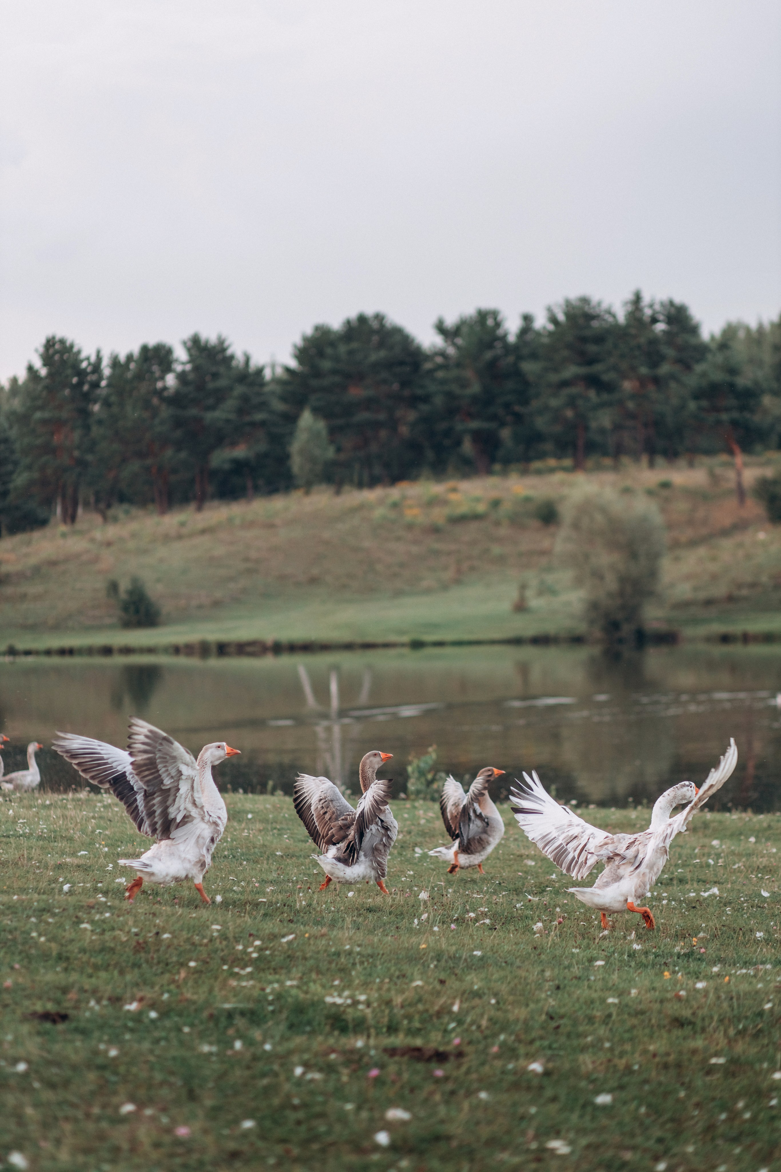Ревковы. Валентина Удалая — семейный и портретный фотограф в Брянске