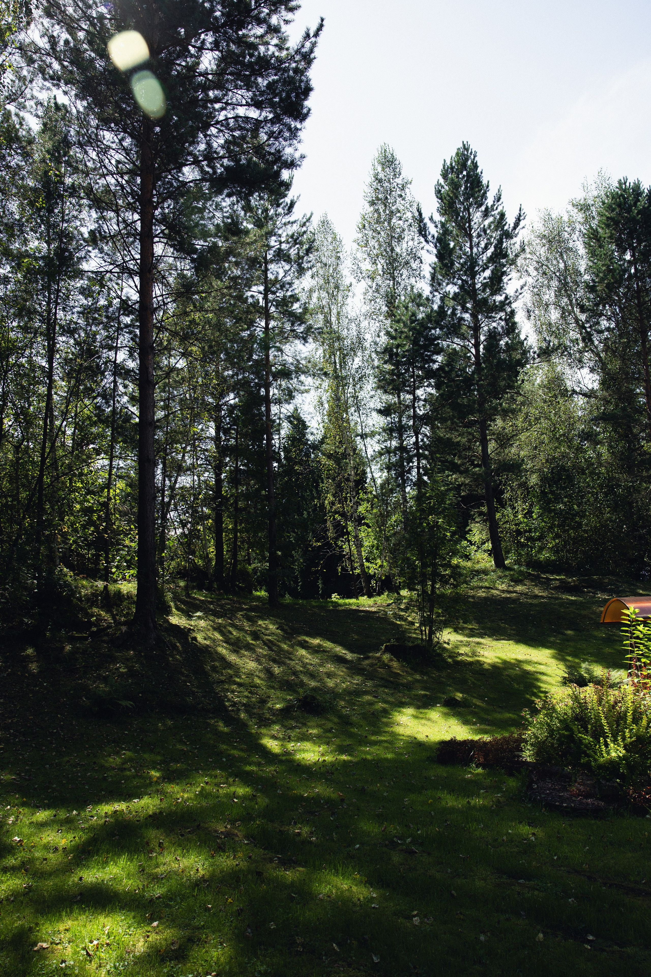 Любовь выше гор. История Насти и Дениса. Свадебный и семейный фотограф Рассказова Виктория