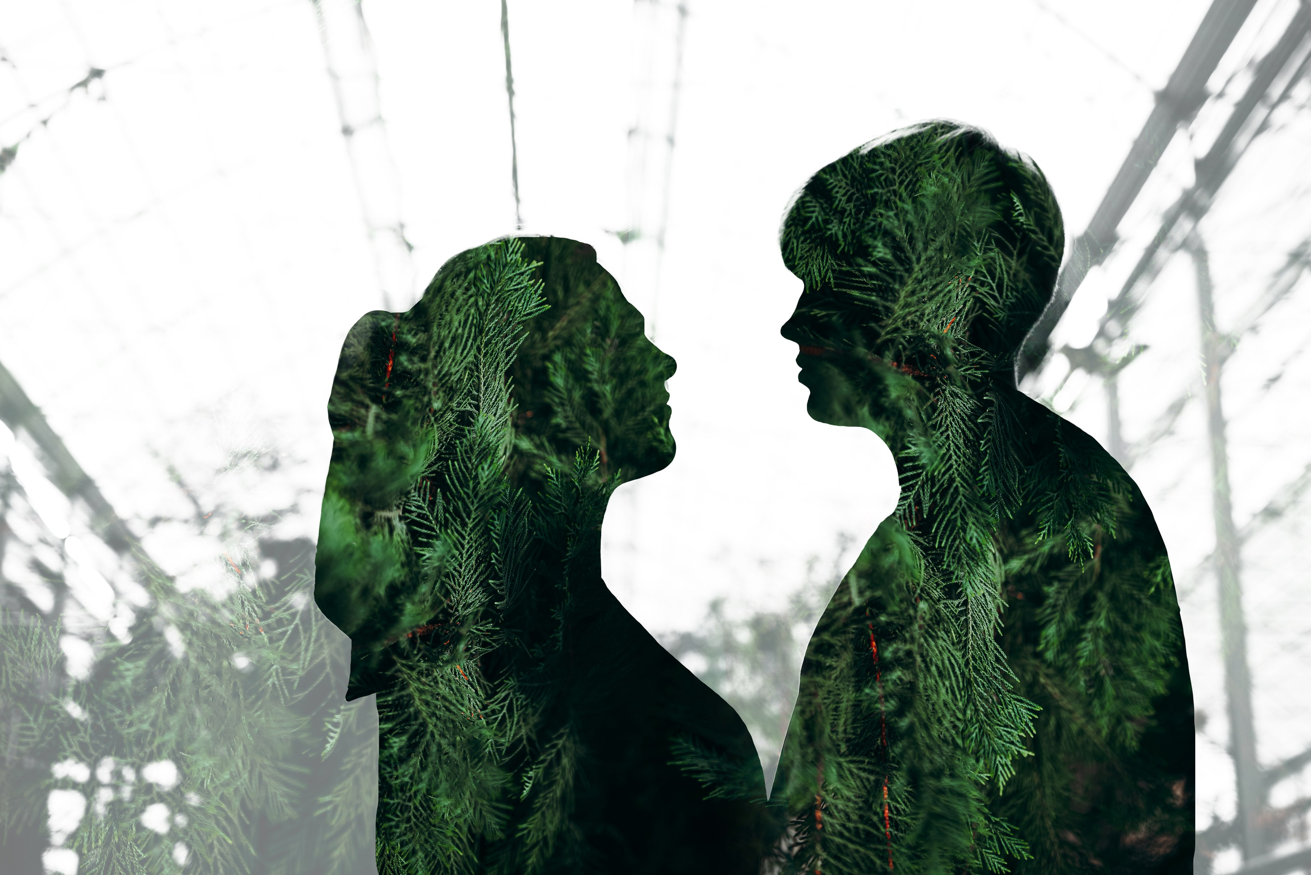 Даша и Дима