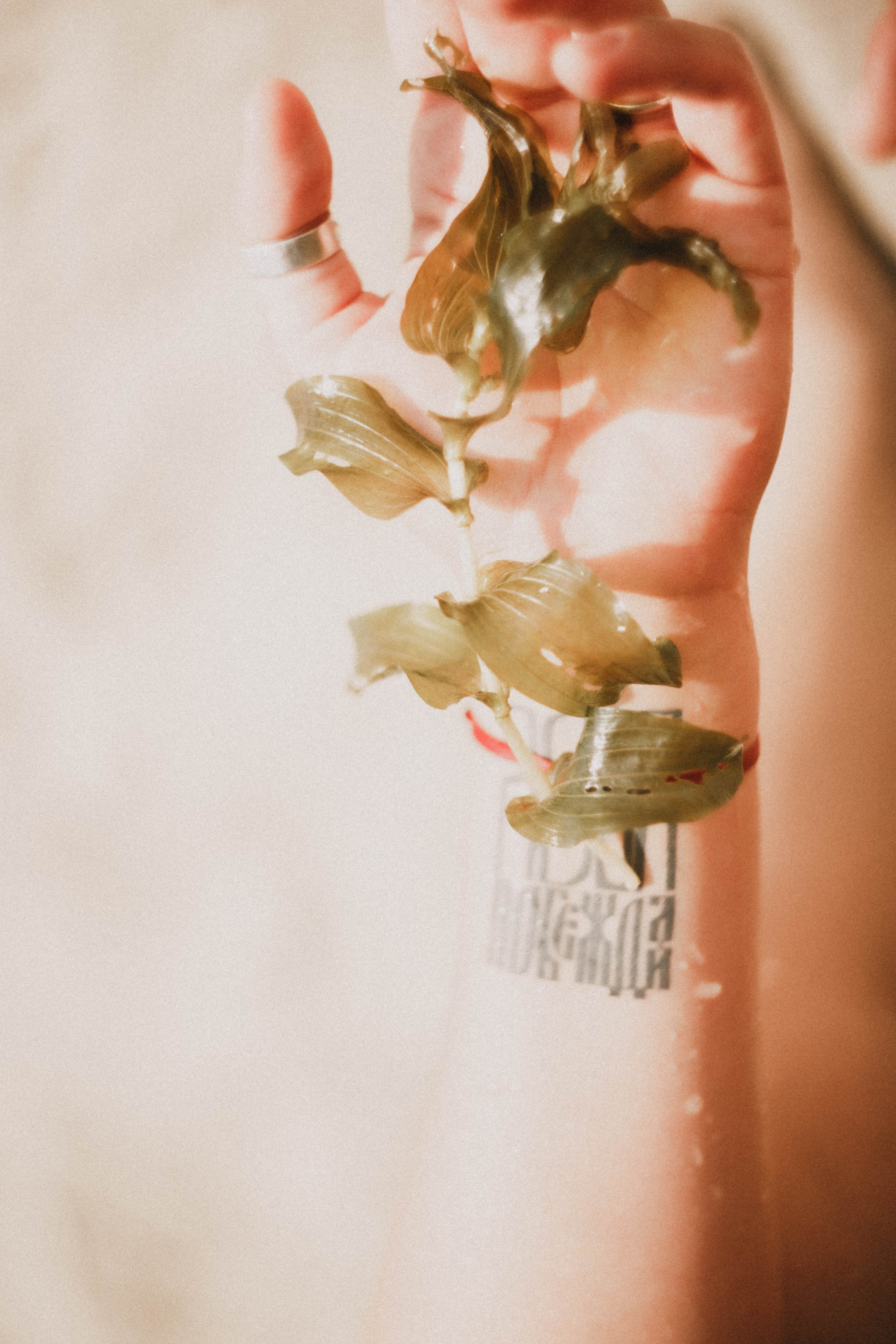 Влада. Флёр. Фотограф в Нижнем Новгороде