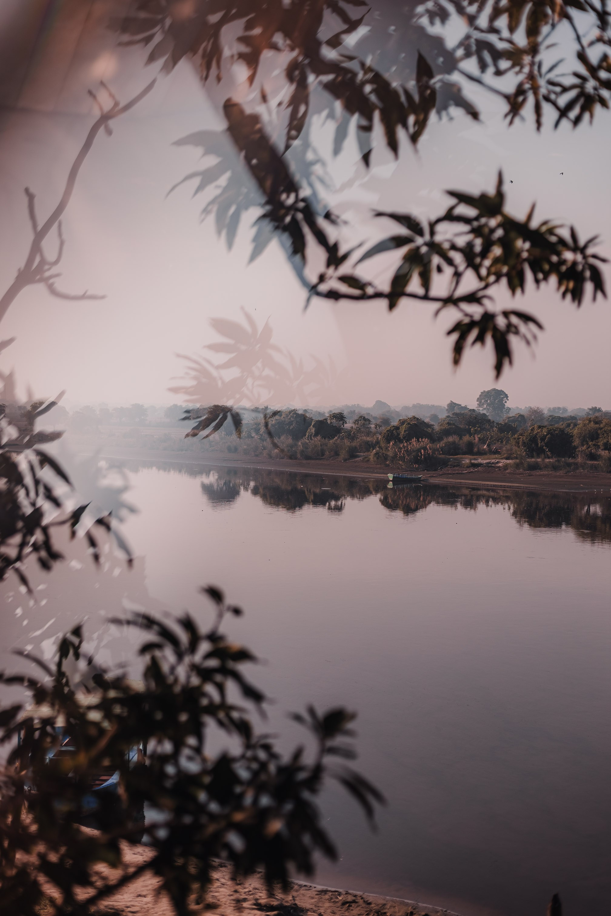 Lakshmi pooja in India. Mariam Bagdasaryan