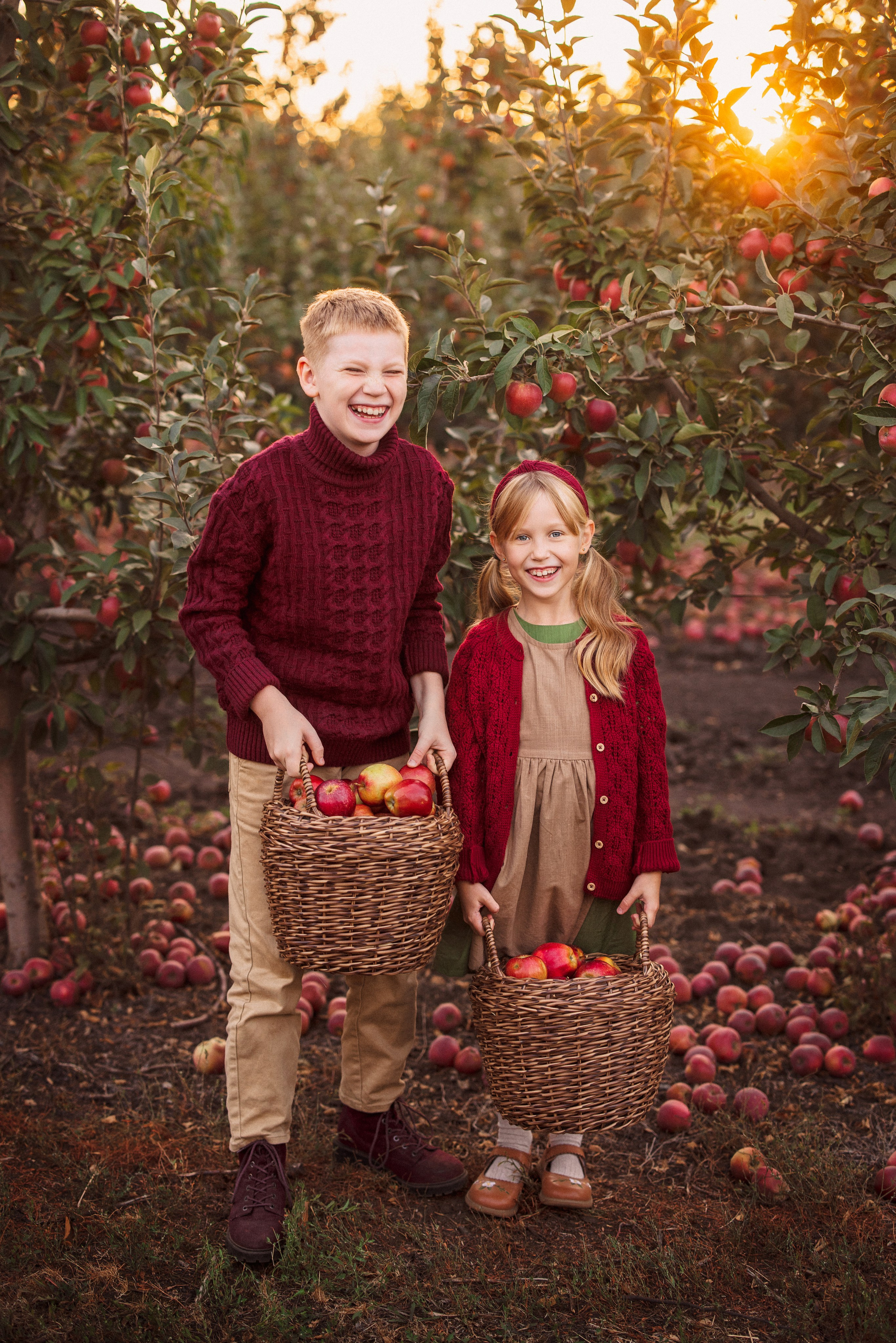 Сбор урожая Яблок. Семейный и детский фотограф в Краснодаре Анна Трашкова