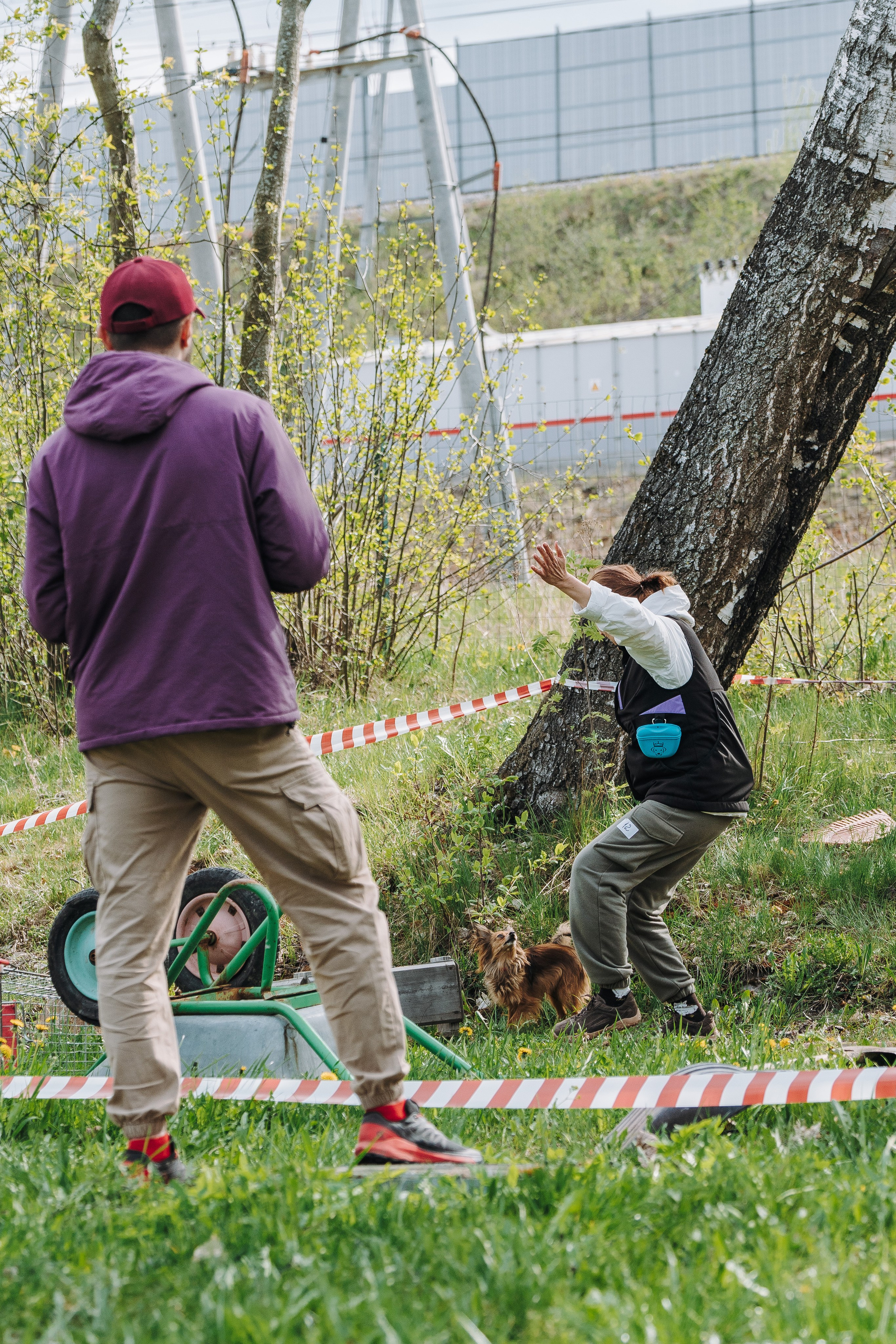 Соревнования по ноузворку в Лосево. Фотограф анималист в Спб недорого Олеся Майорова