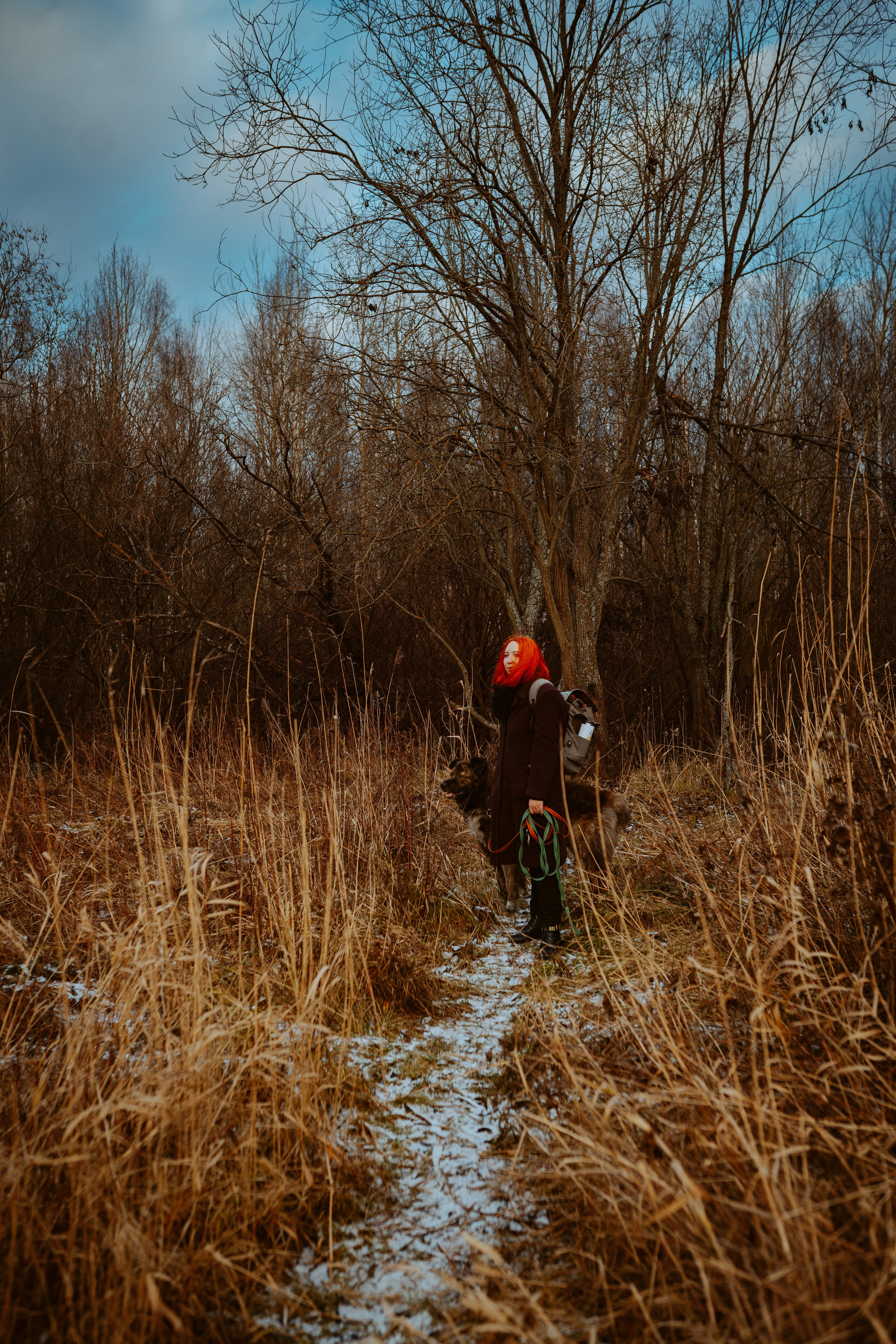 Творческая фотосессия фотографа анималиста. Фотограф анималист в Спб недорого Олеся Майорова