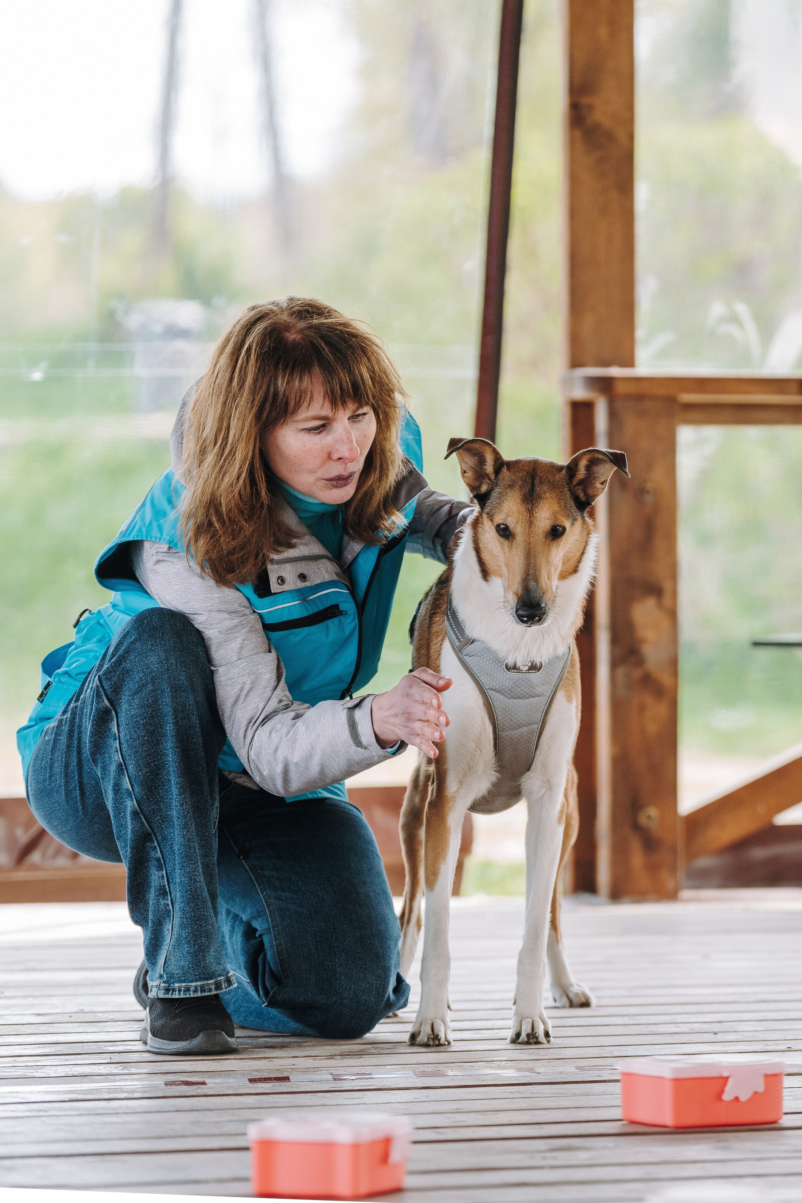 Соревнования по ноузворку в Лосево. Фотограф анималист в Спб недорого Олеся Майорова
