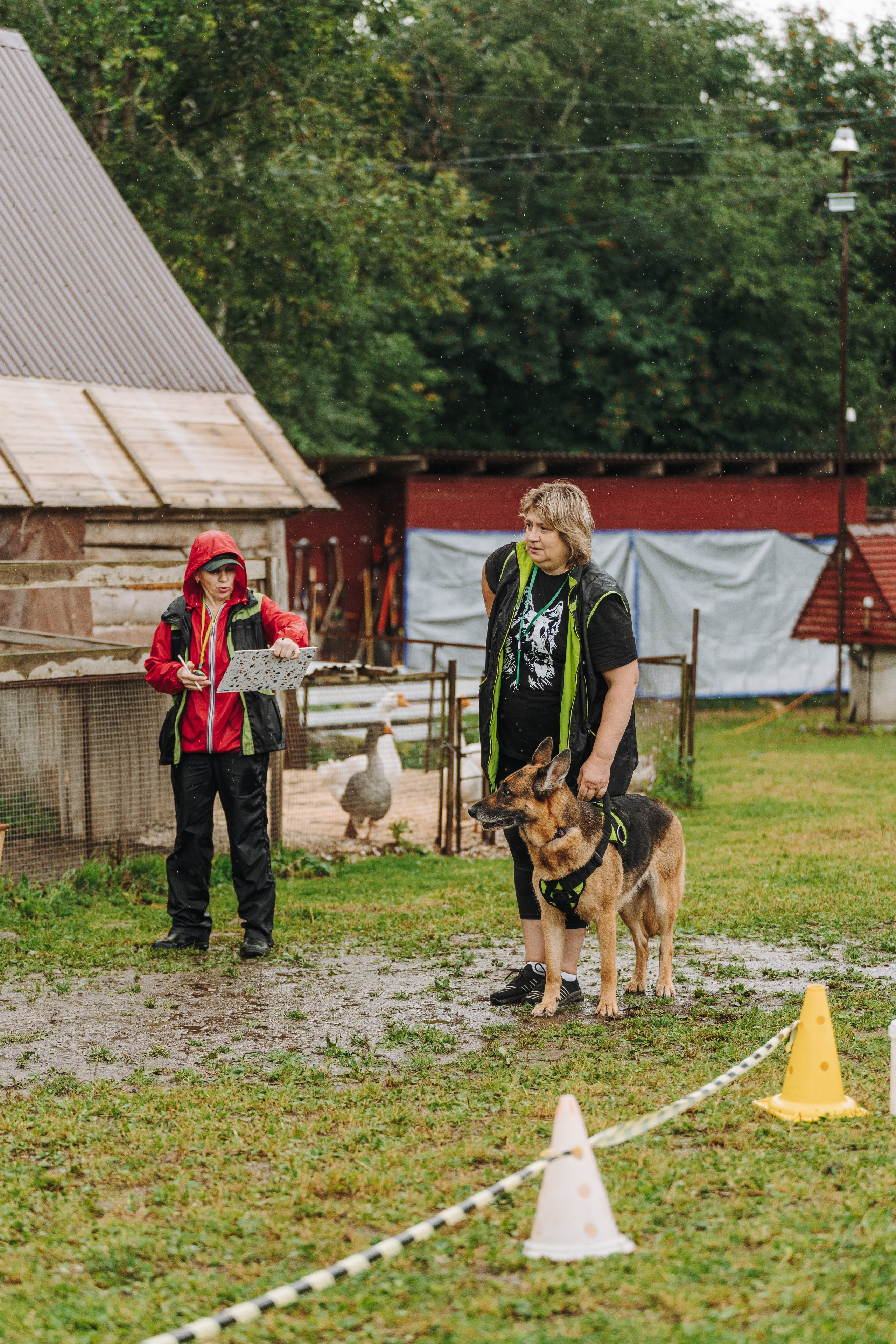 Соревнования по ноузворку в Новожилово. Фотограф анималист в Спб недорого Олеся Майорова