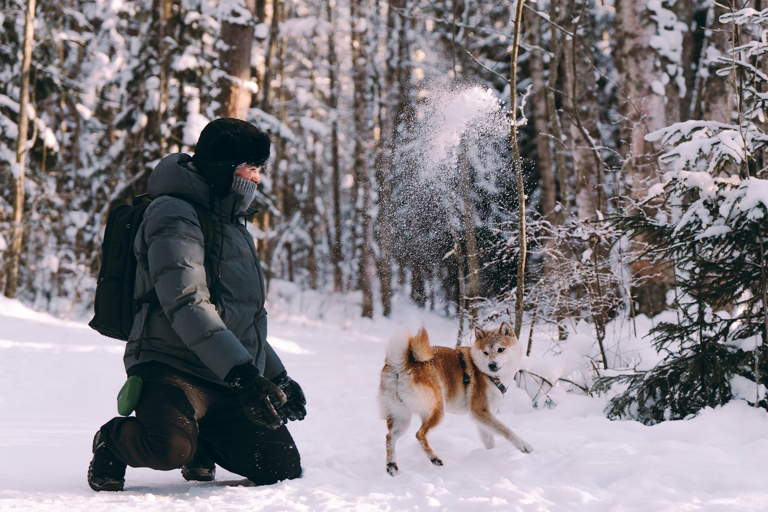 Каори, Анна и Антон. Фотограф анималист в Спб недорого Олеся Майорова