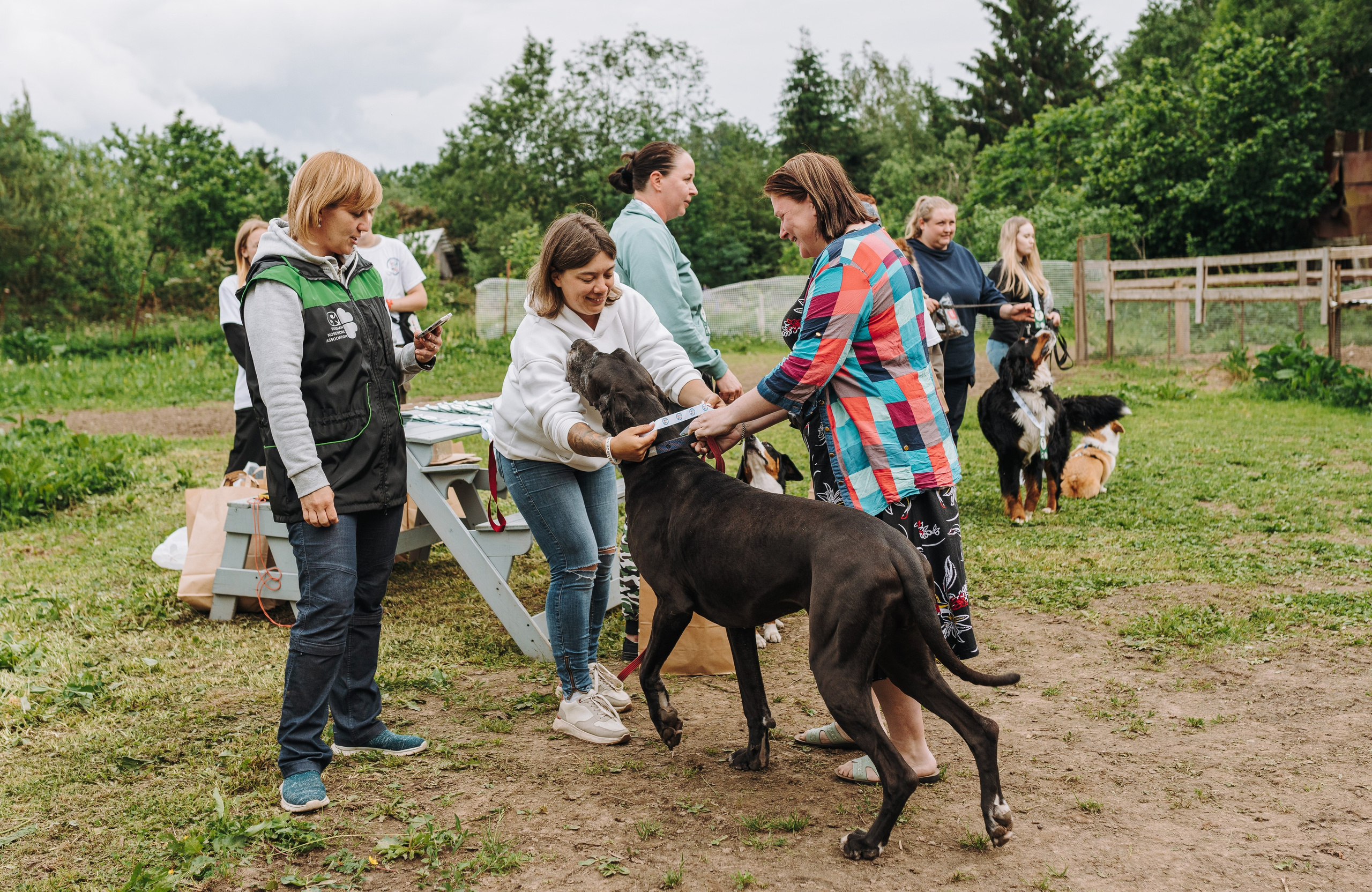 Соревнования по ноузворку. Фотограф анималист в Спб недорого Олеся Майорова